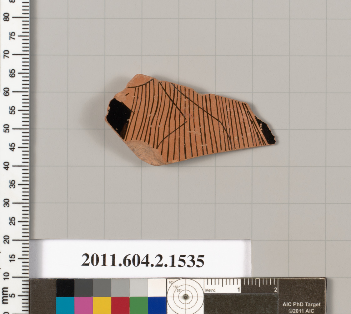 Ancient Terracotta Pottery Fragment