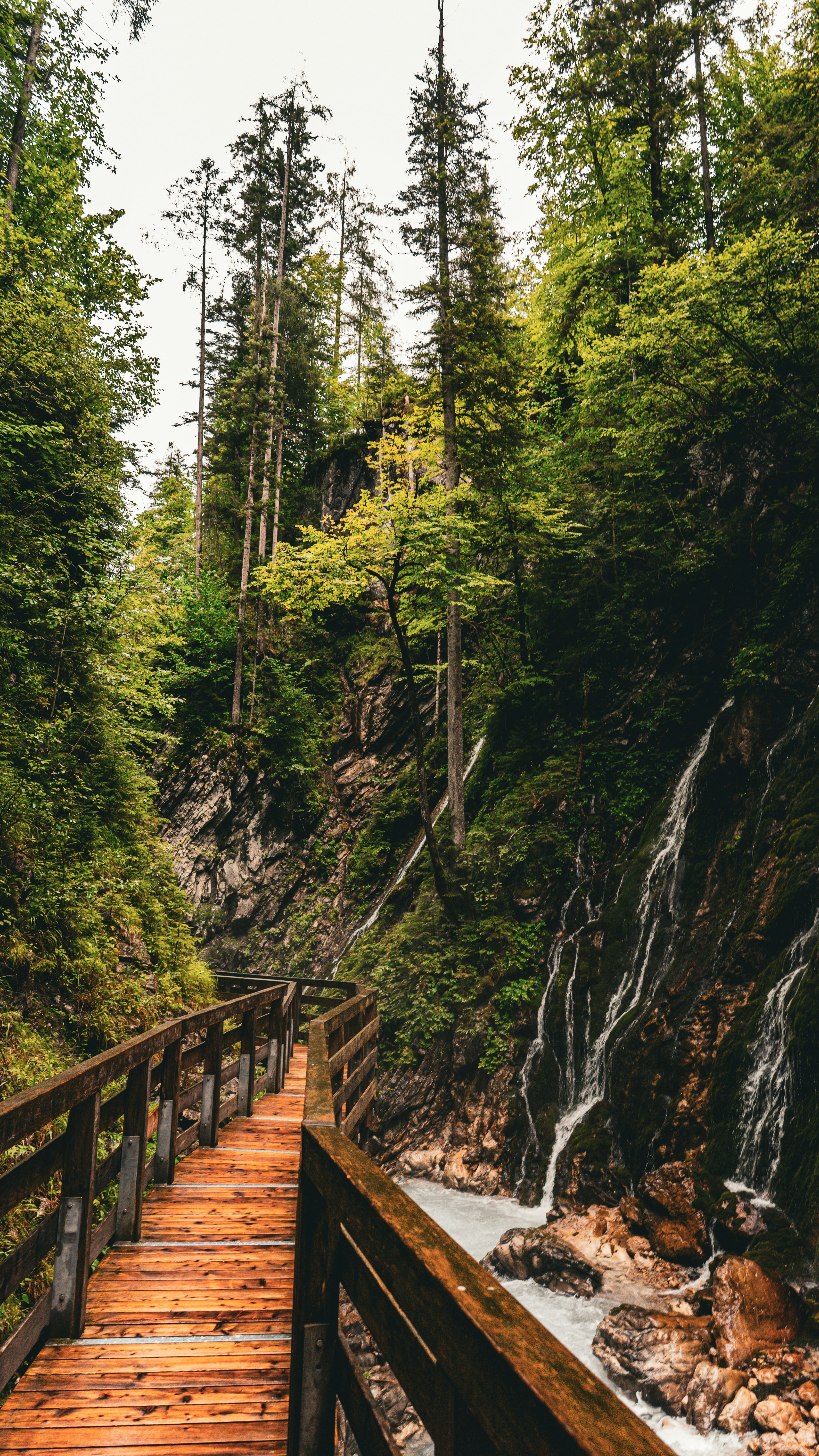 Wallpapers