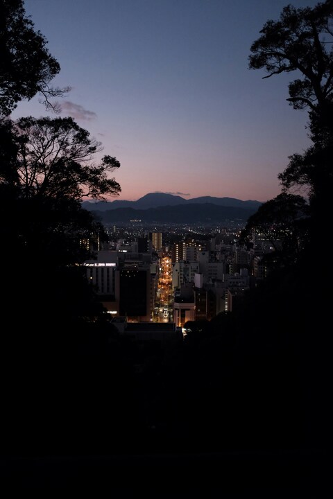 City Twilight View From Hillside