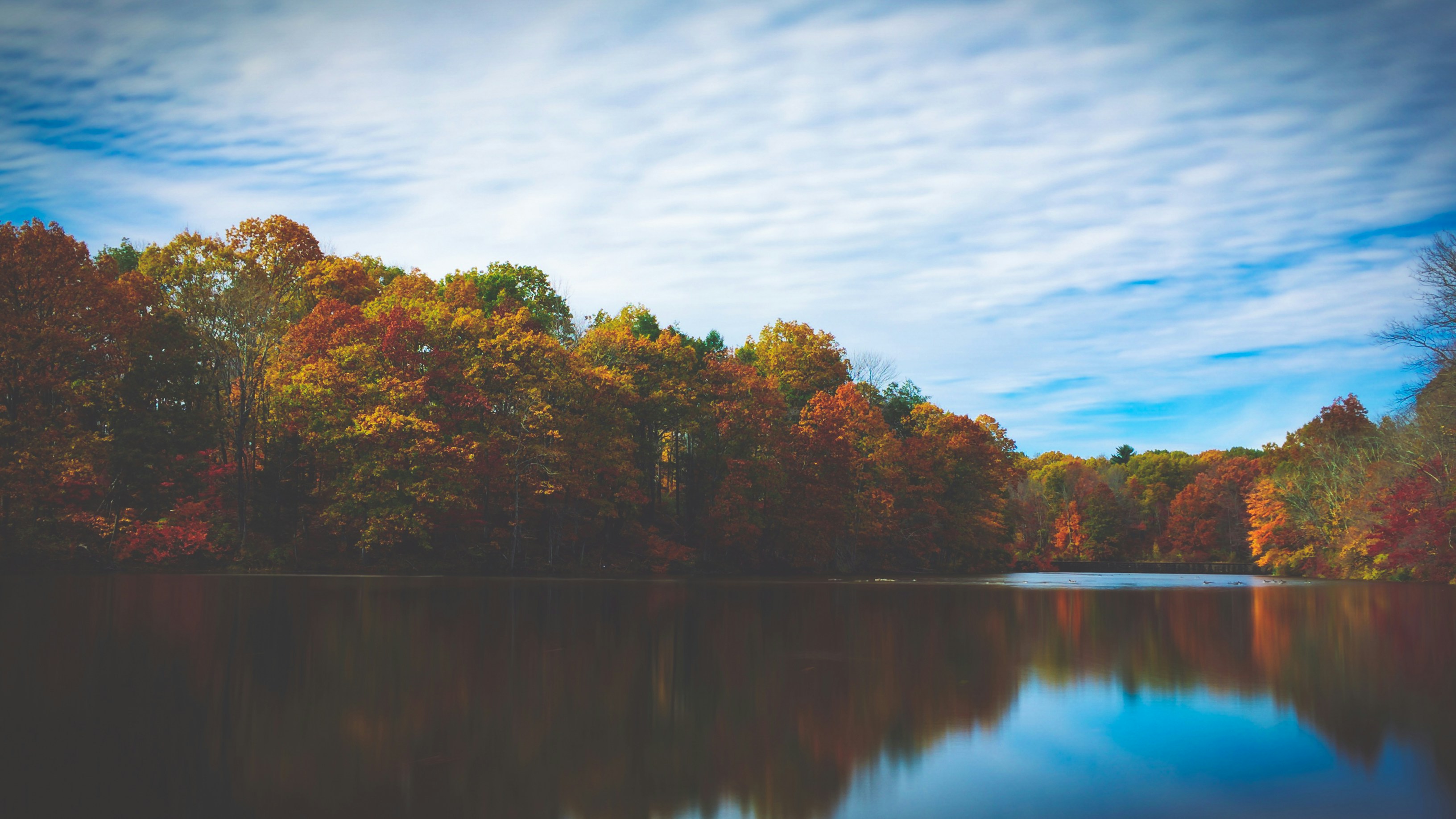 Autumn Lake Forest Reflection