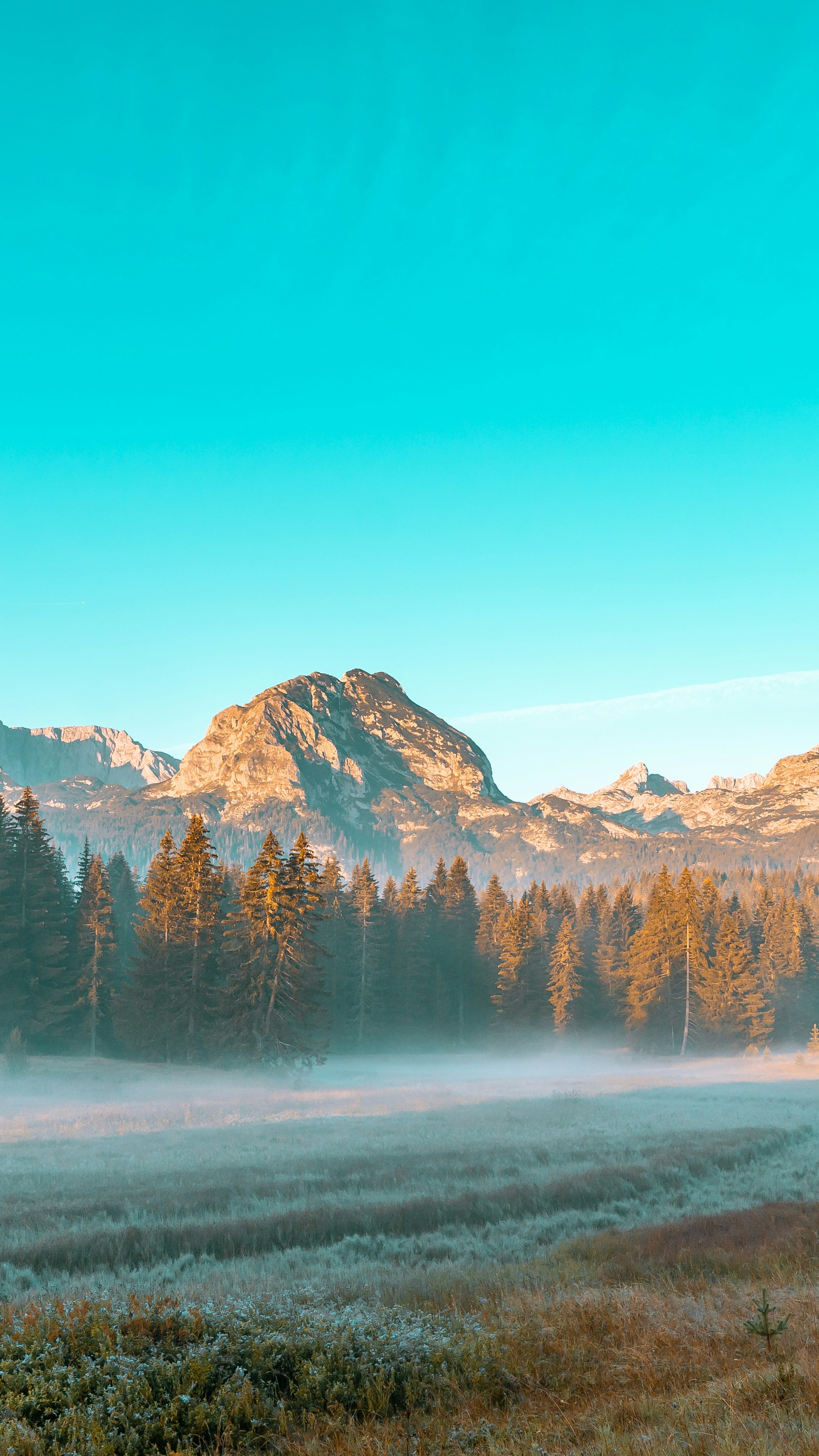 Wallpapers