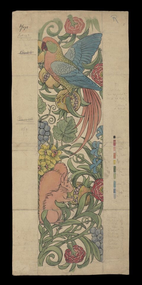 Parrot and Squirrel Decorative Sketch