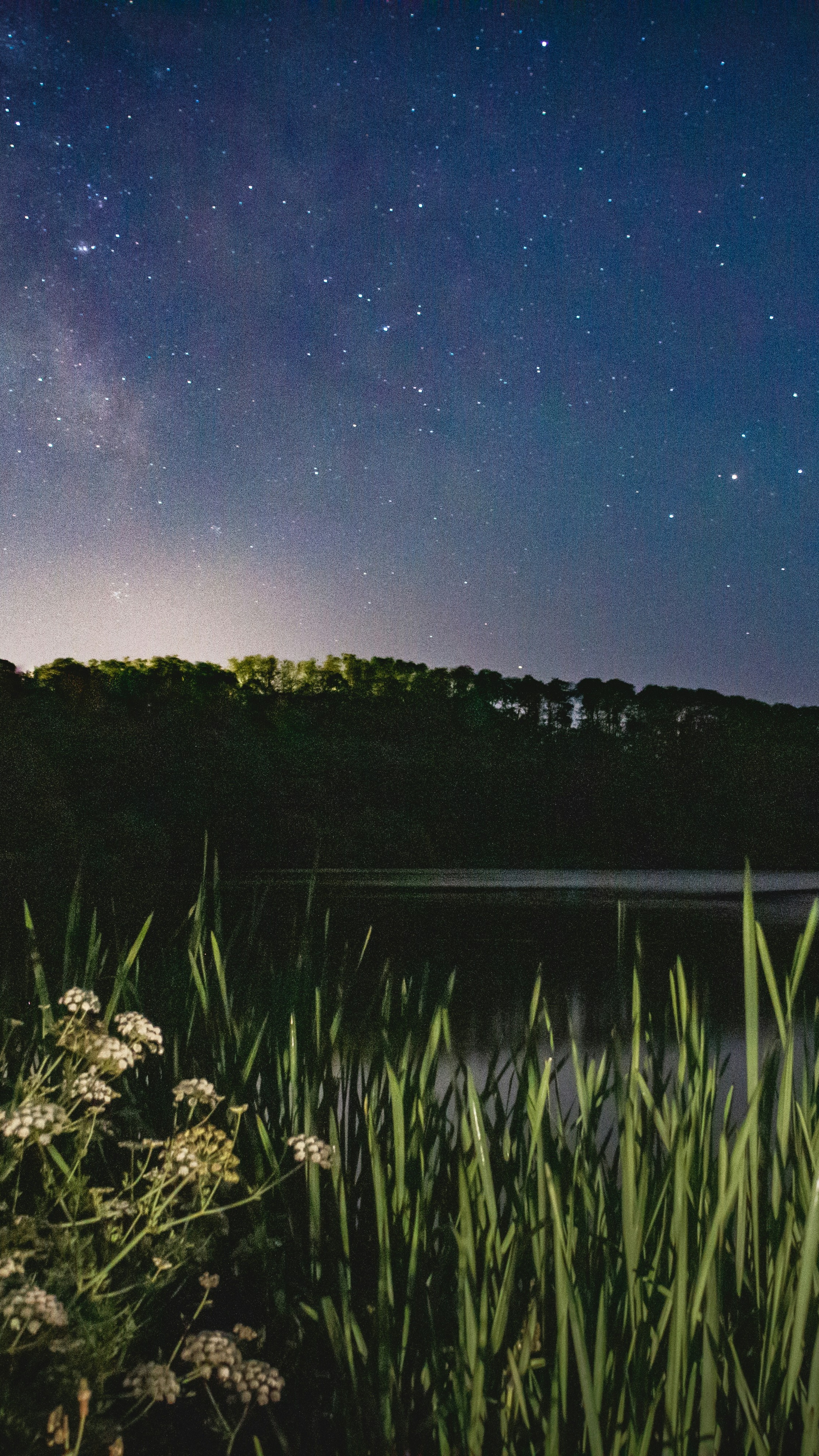 Starry Night Over Calm Lake