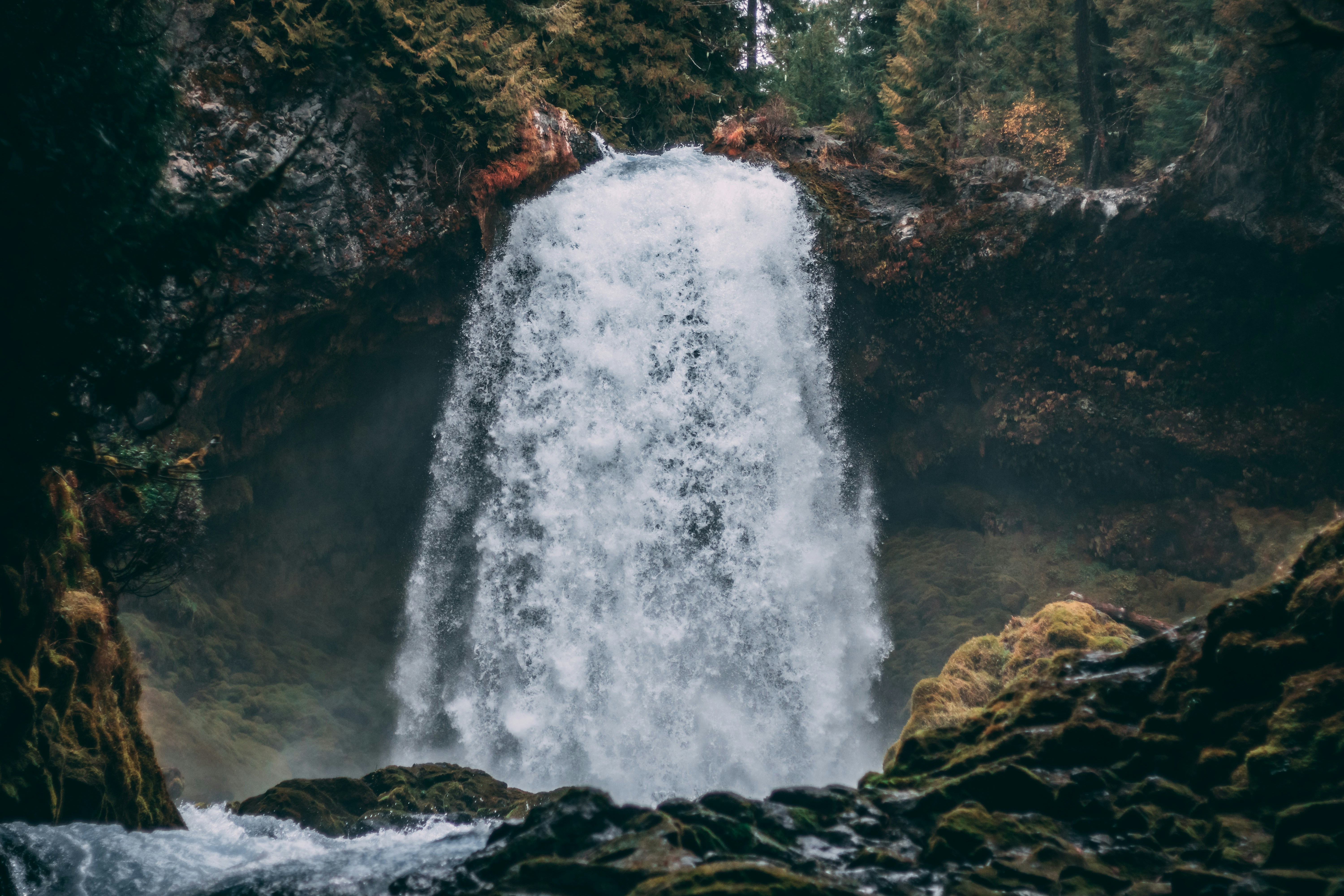 Forest Waterfall Over Mossy Cliffs