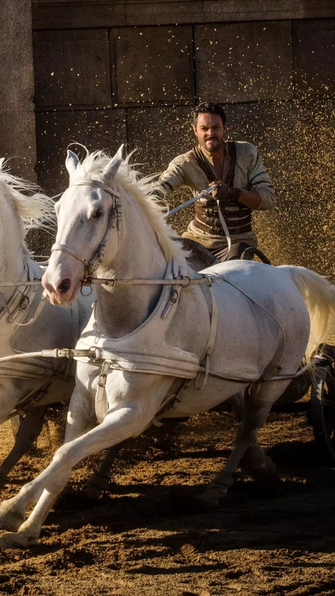 Man Driving Chariot With White Horses