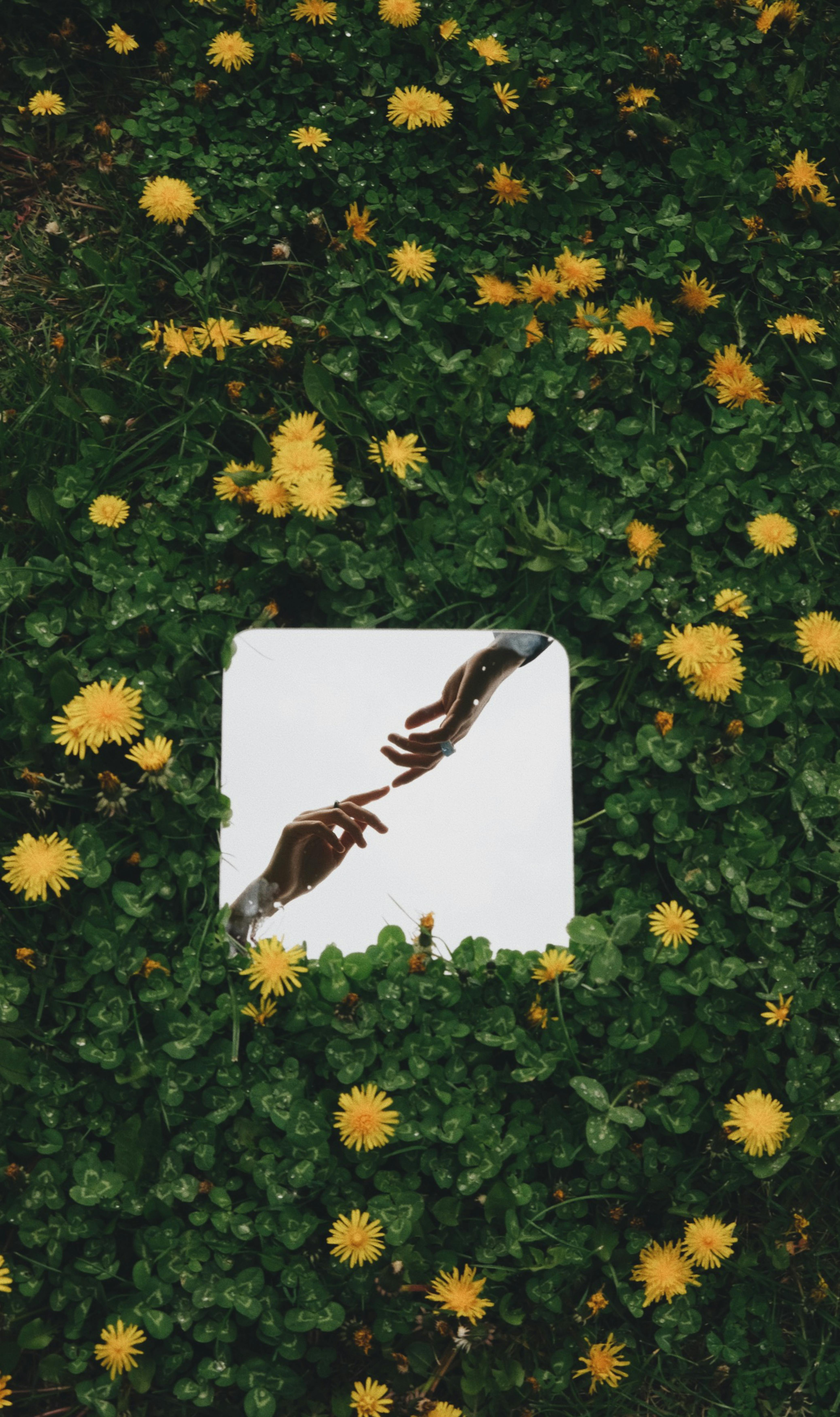 Wallpapers