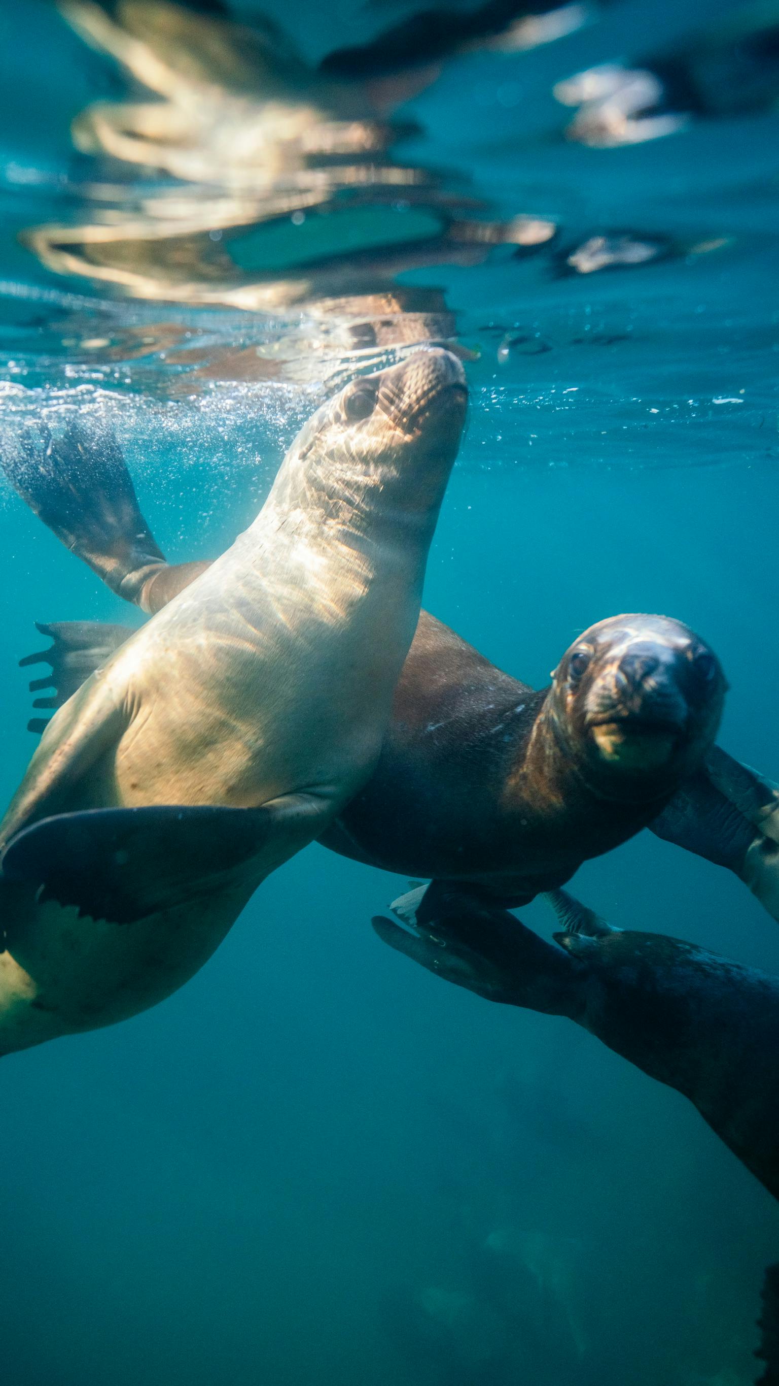 Ocean World