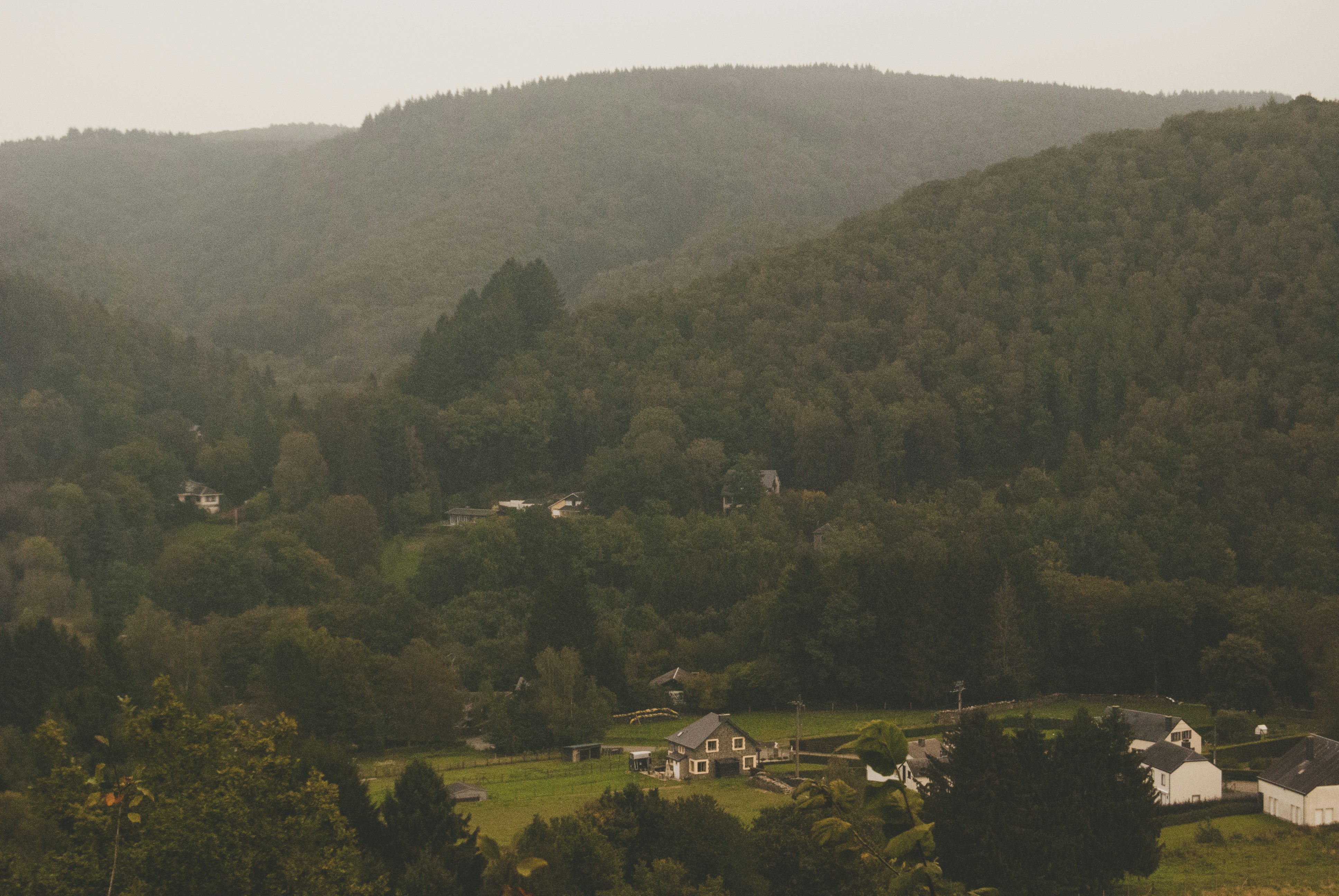 Misty Forested Valley Countryside