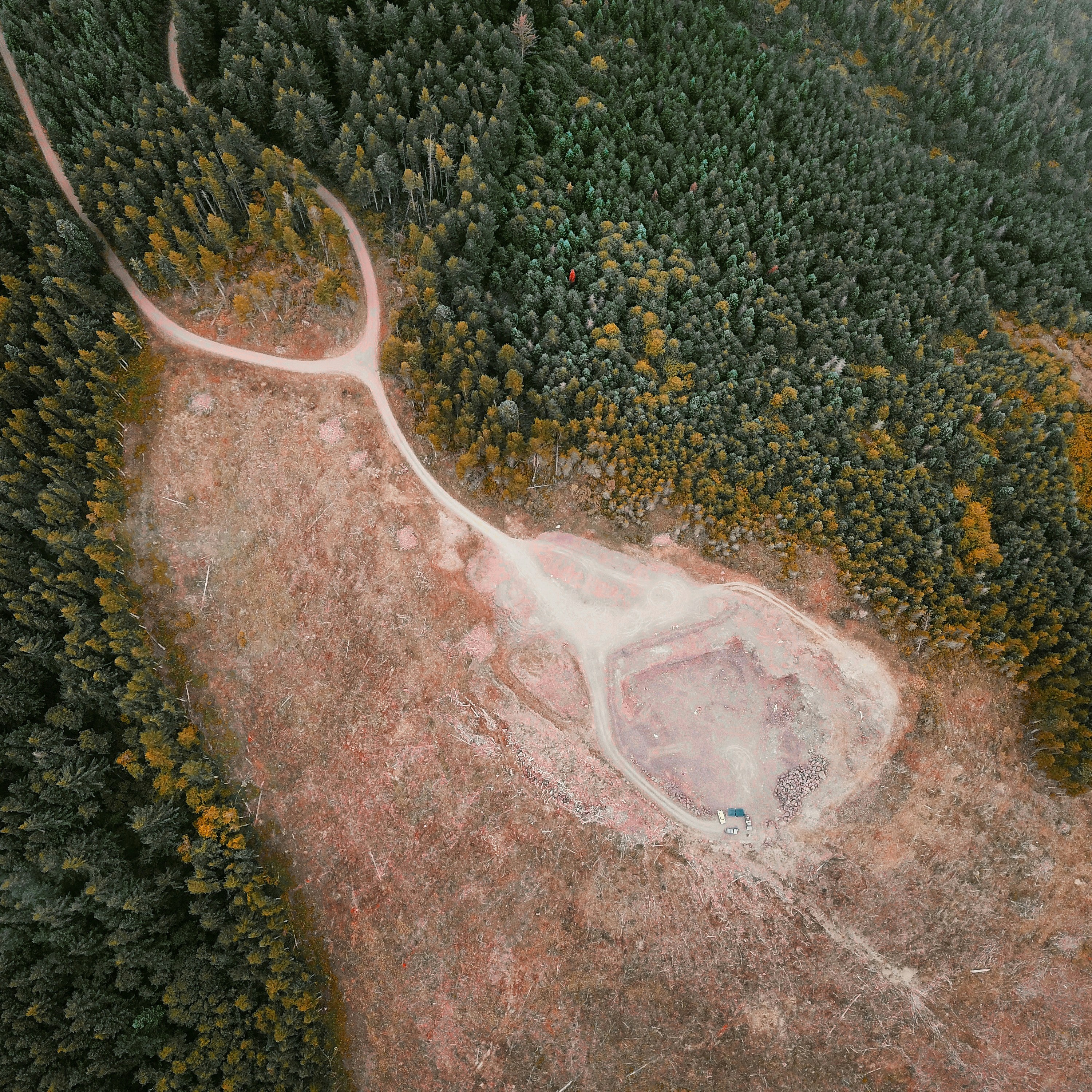 Aerial View of Logged Forest Clearing