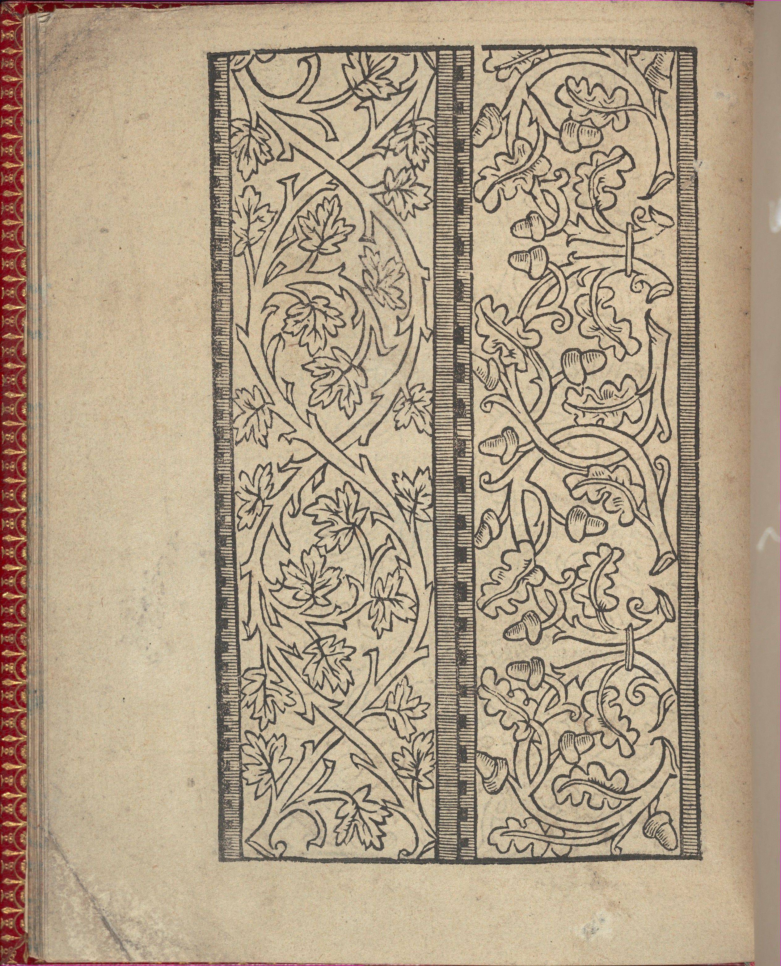 Vintage Woodcut Botanical Decorative Pattern