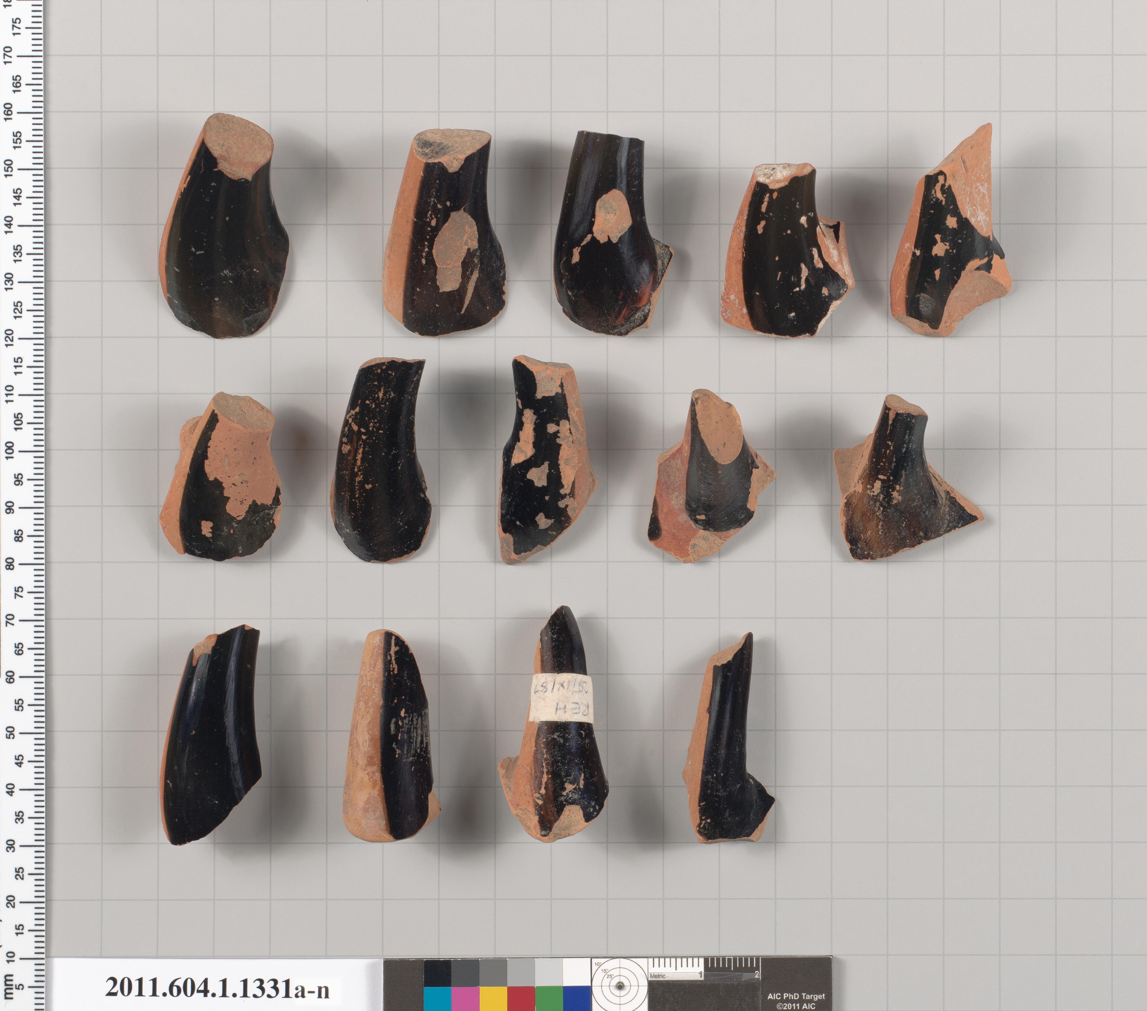 Collection of Ancient Pottery Fragments