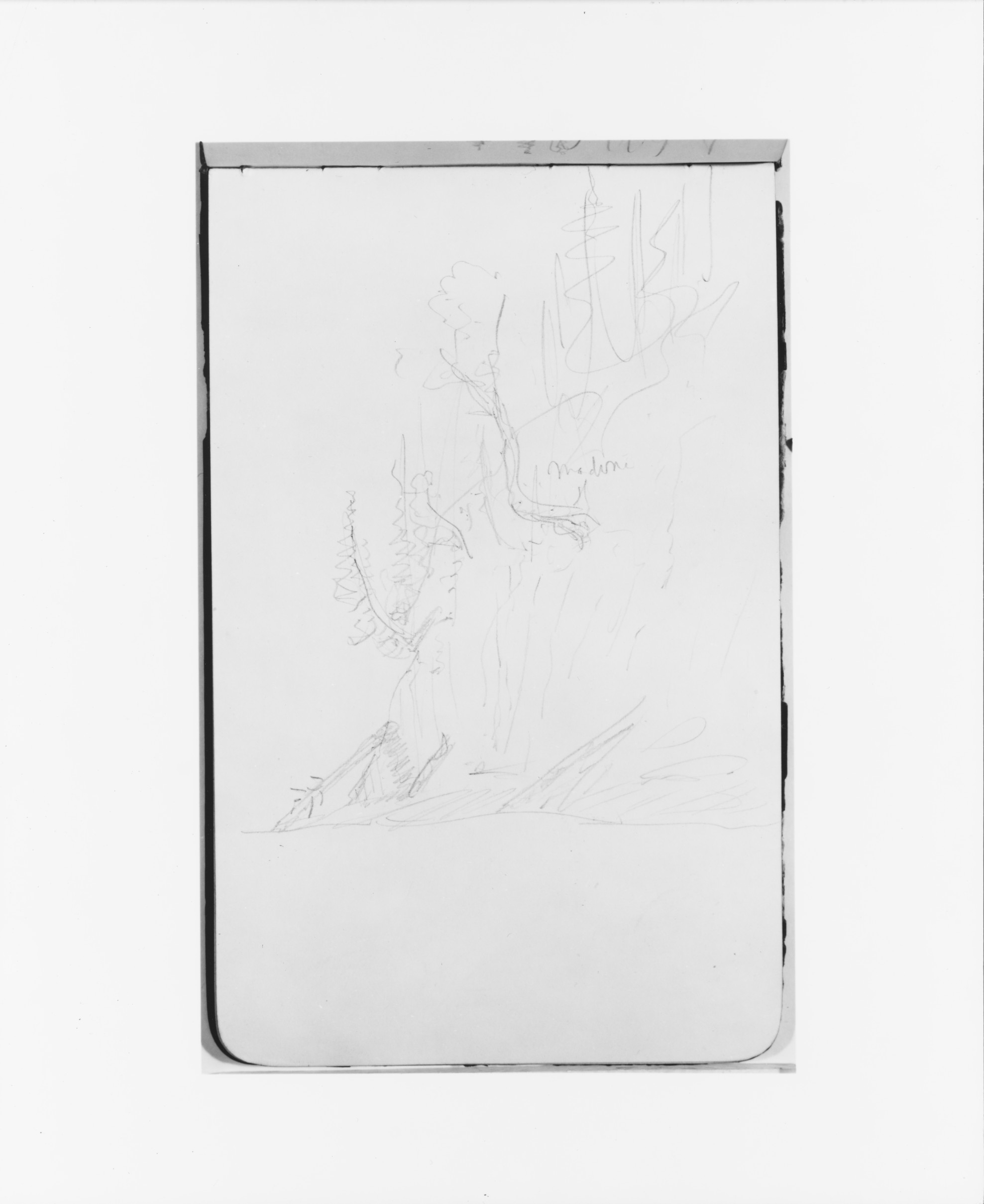 Pencil Tree Sketch on Notebook