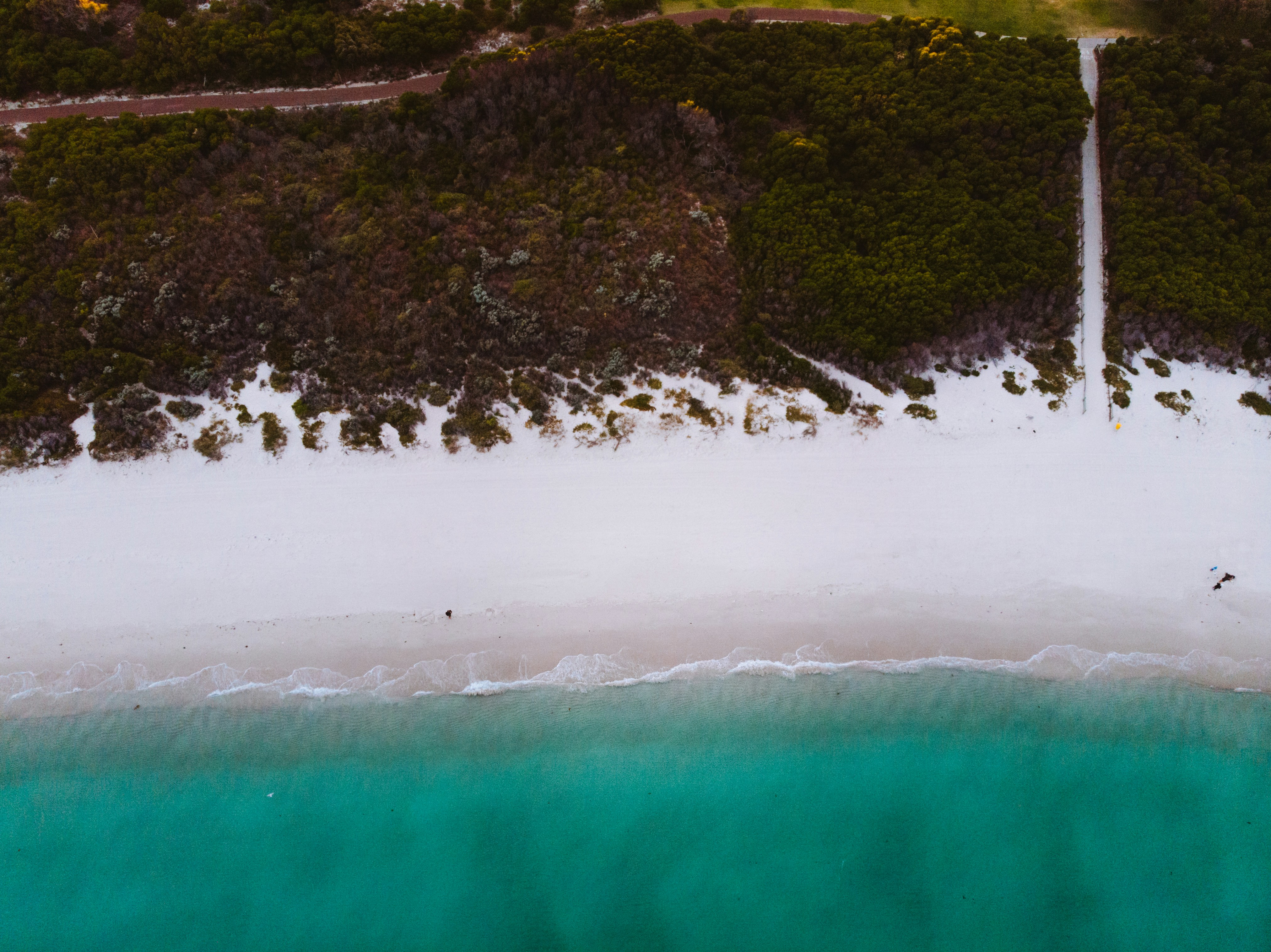 Aerial View of Coastal Beach