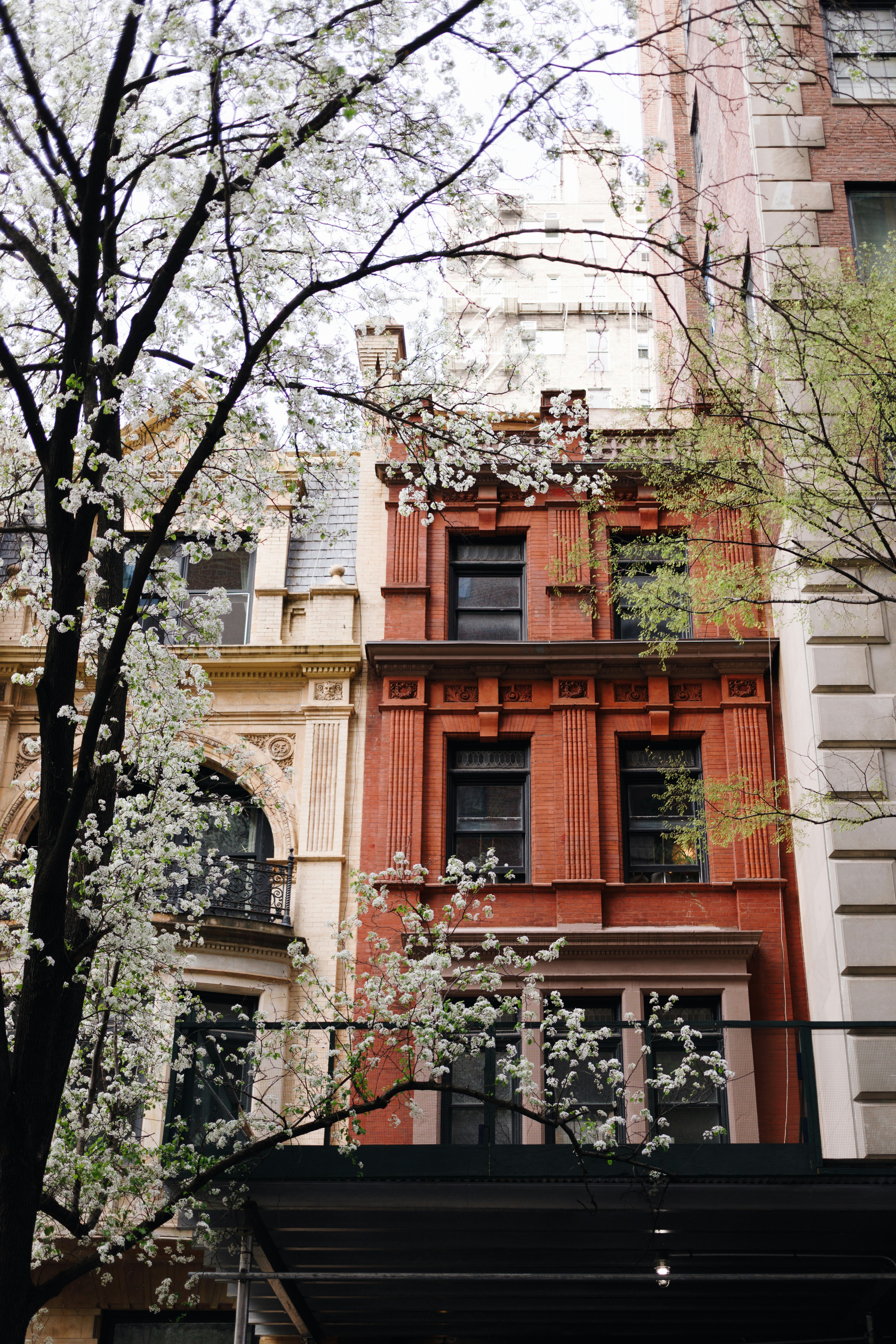 Spring Blossoms by Urban Townhouses
