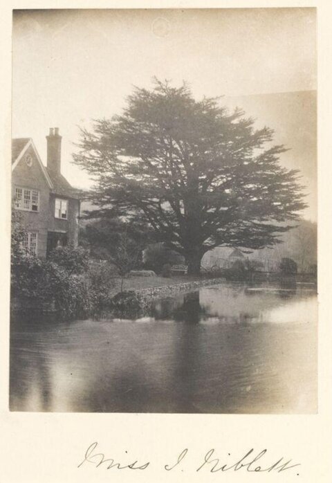 Vintage Pondside Country House View