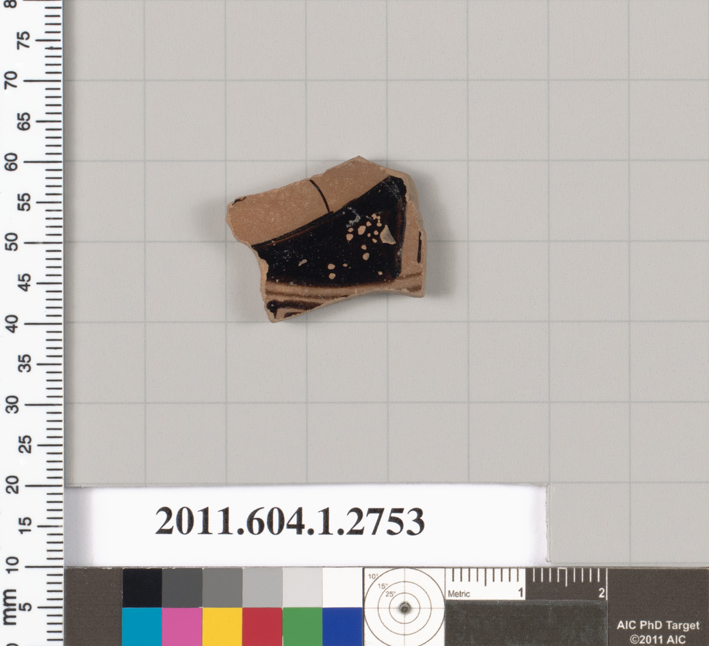 Ancient Pottery Fragment Specimen