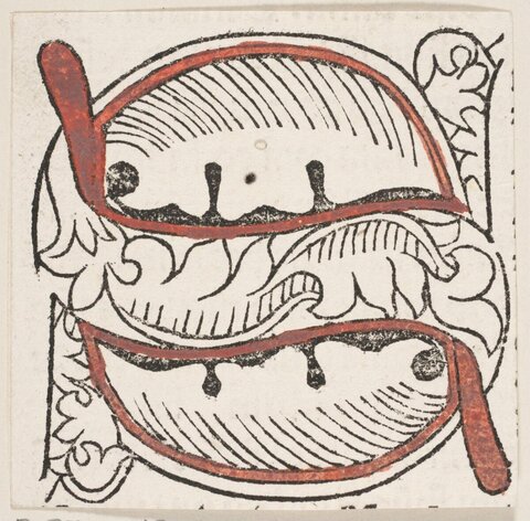 Early Hand-colored Brain Anatomical Illustration