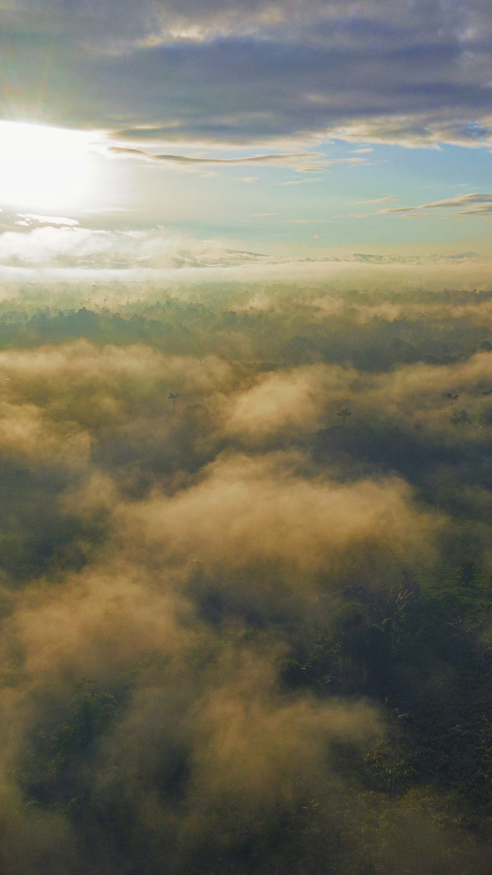 Landscapes
