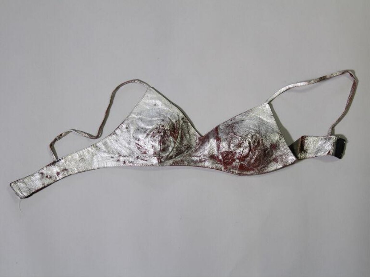 Silver Rose Printed Triangle Bra