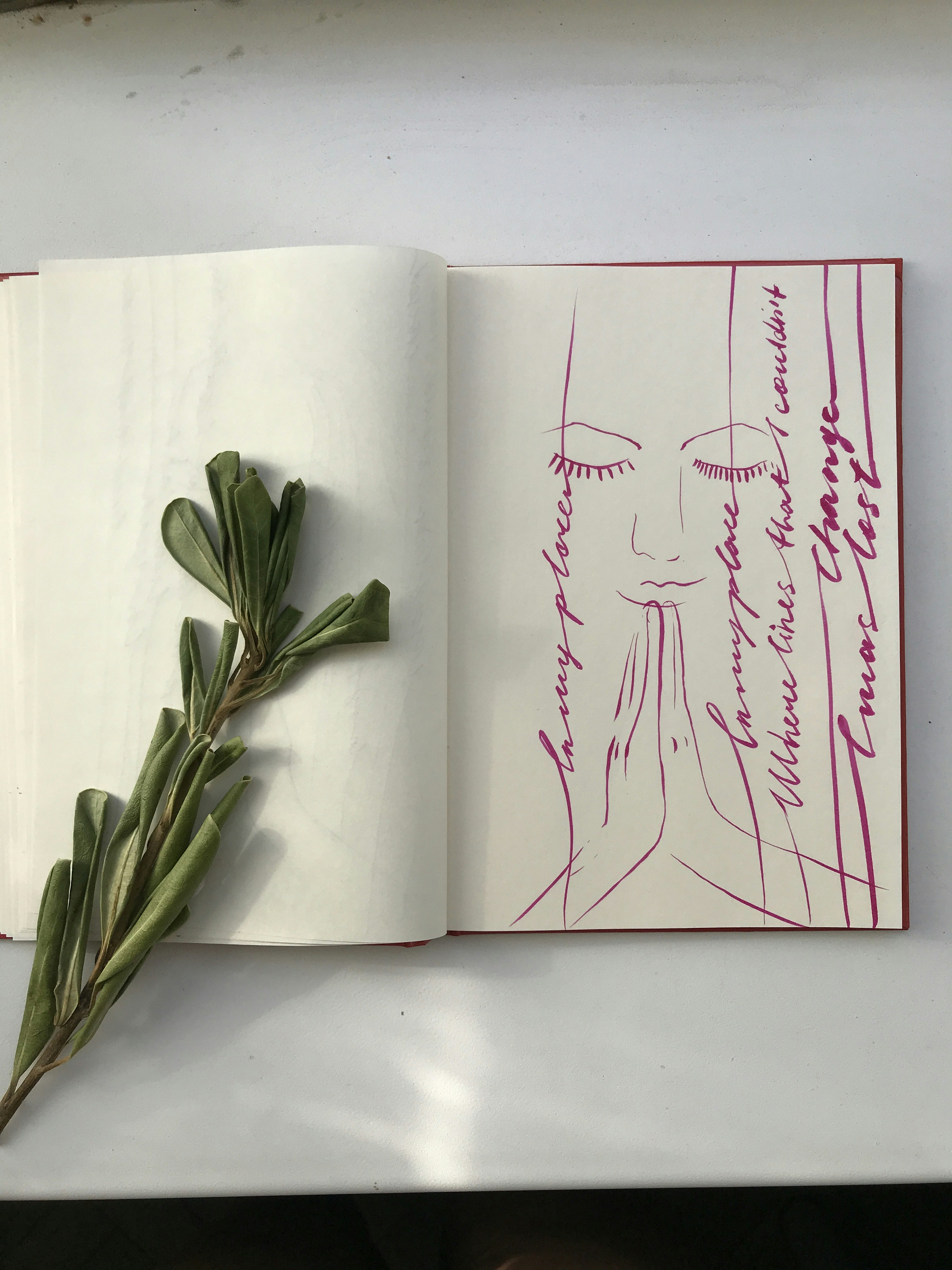 Open Sketchbook With Drawing and Plant Sprig