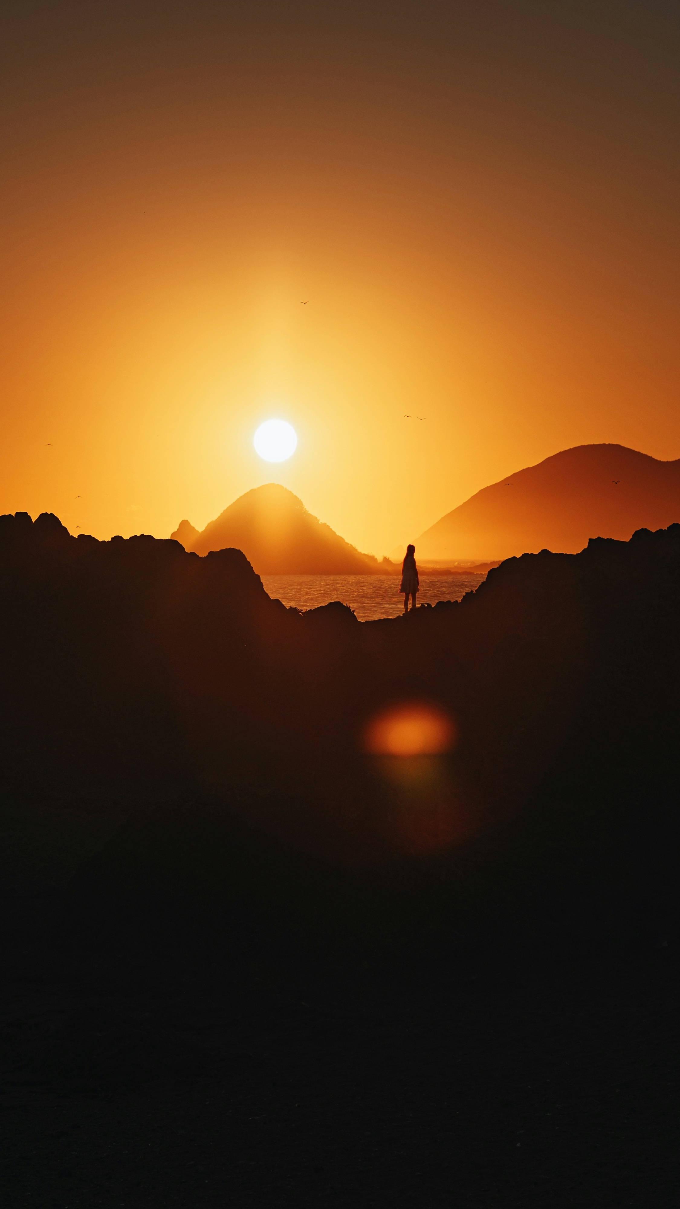 Wallpapers