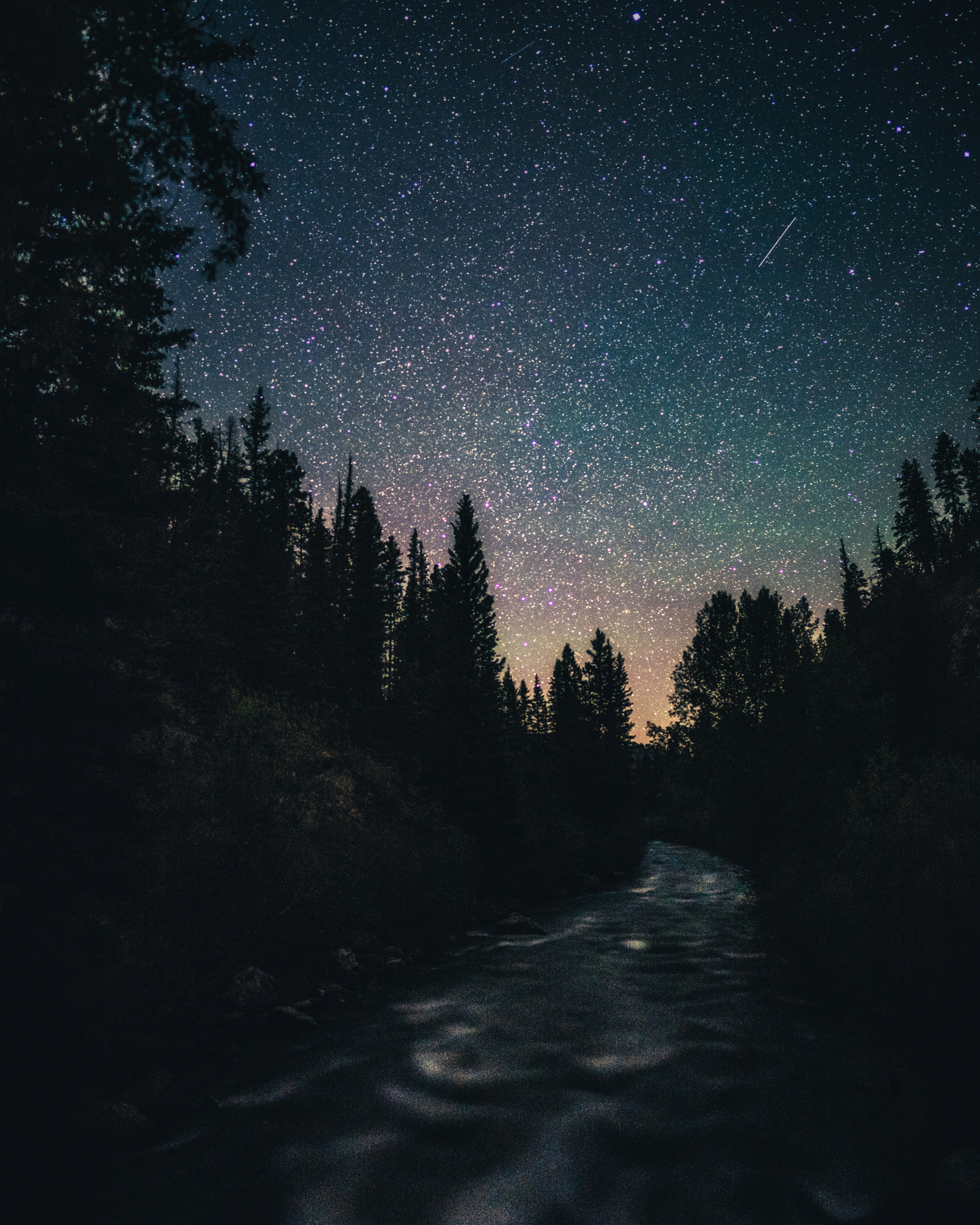 Starry Night Over Forest River