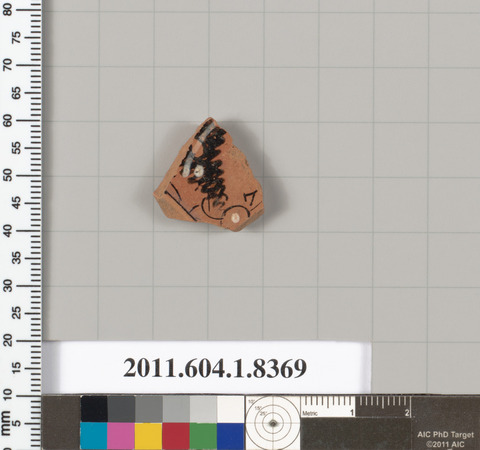 Ancient Pottery Fragment Specimen