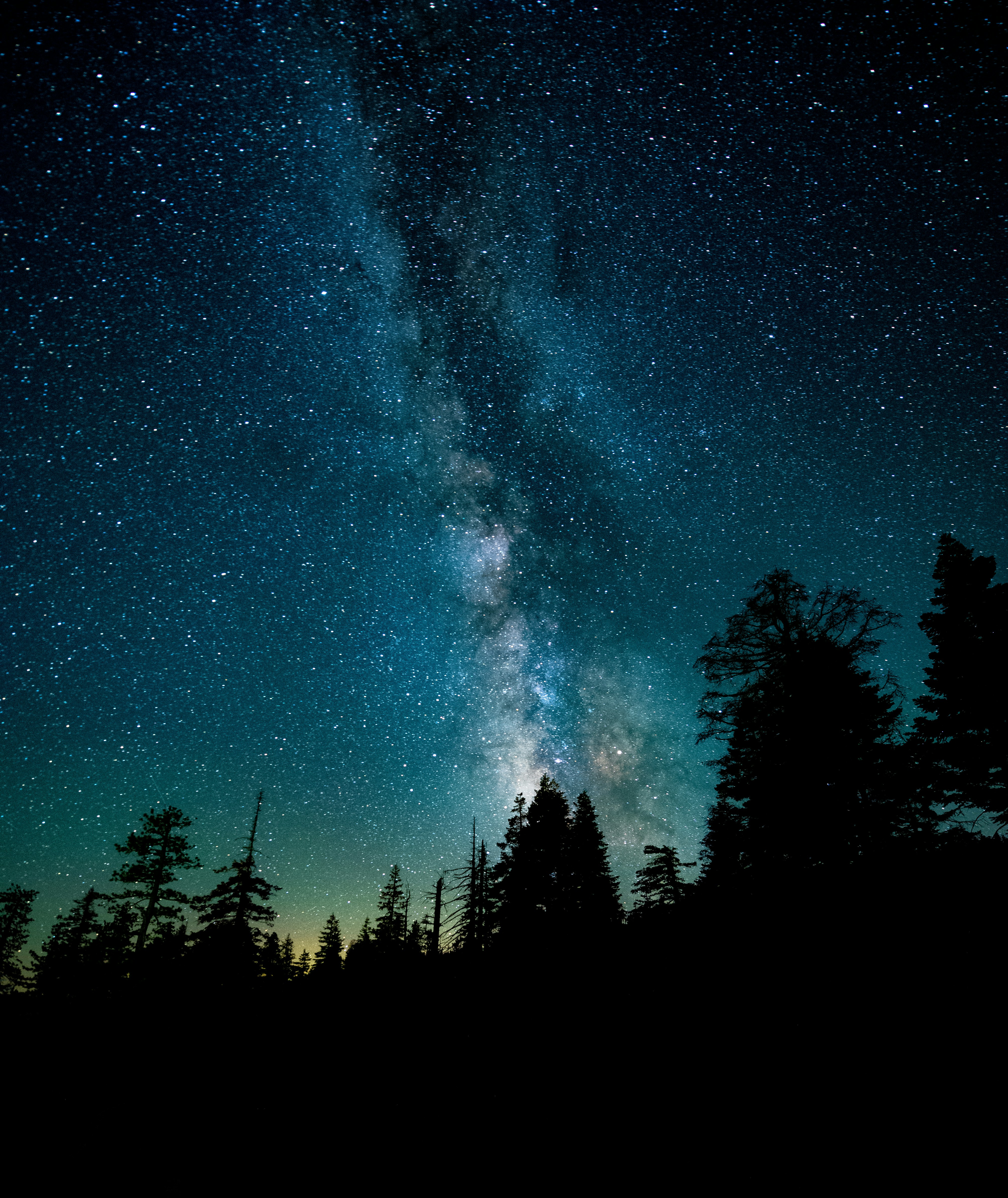 Milky Way Over Forest at Night