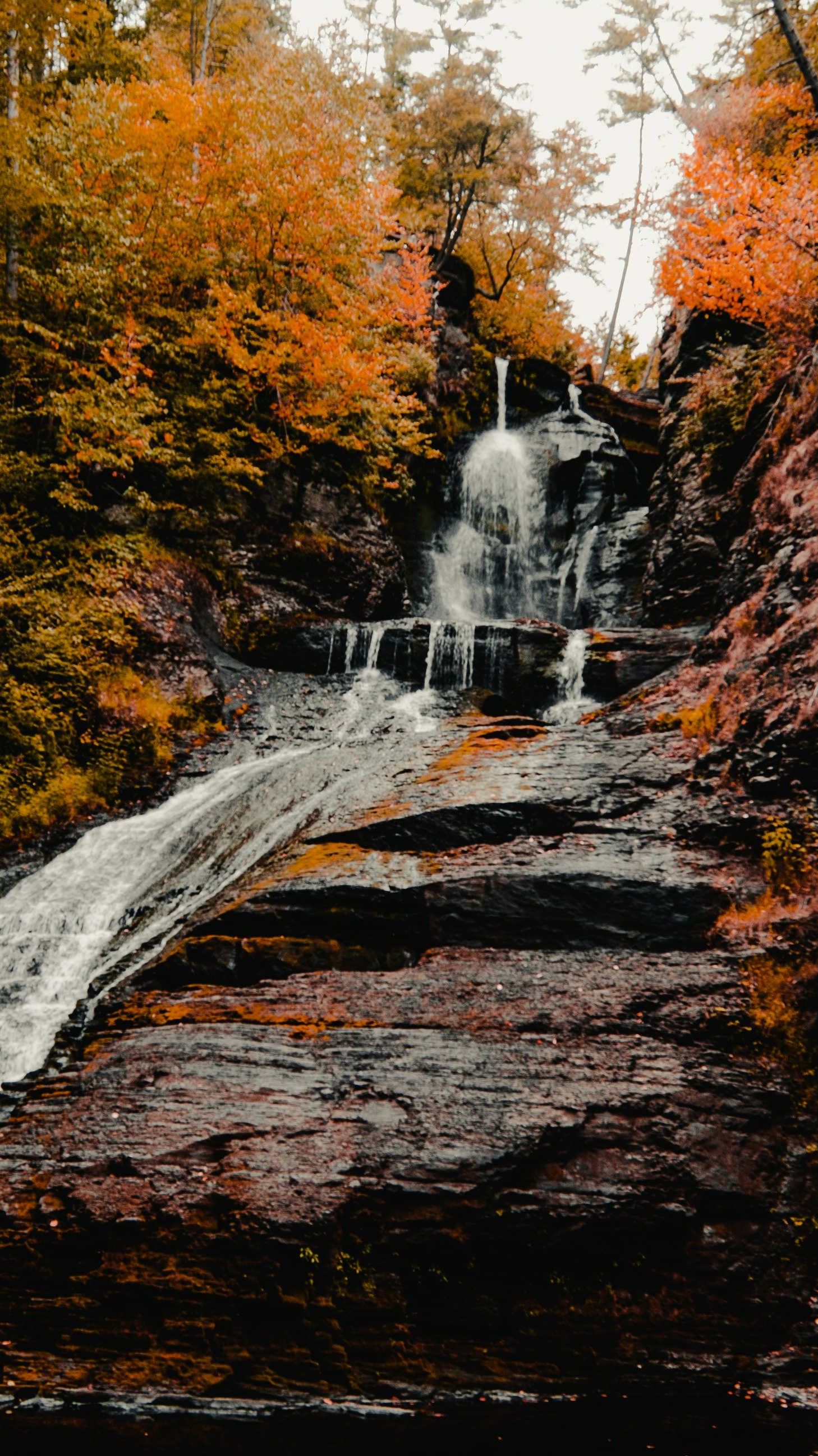 Wallpapers