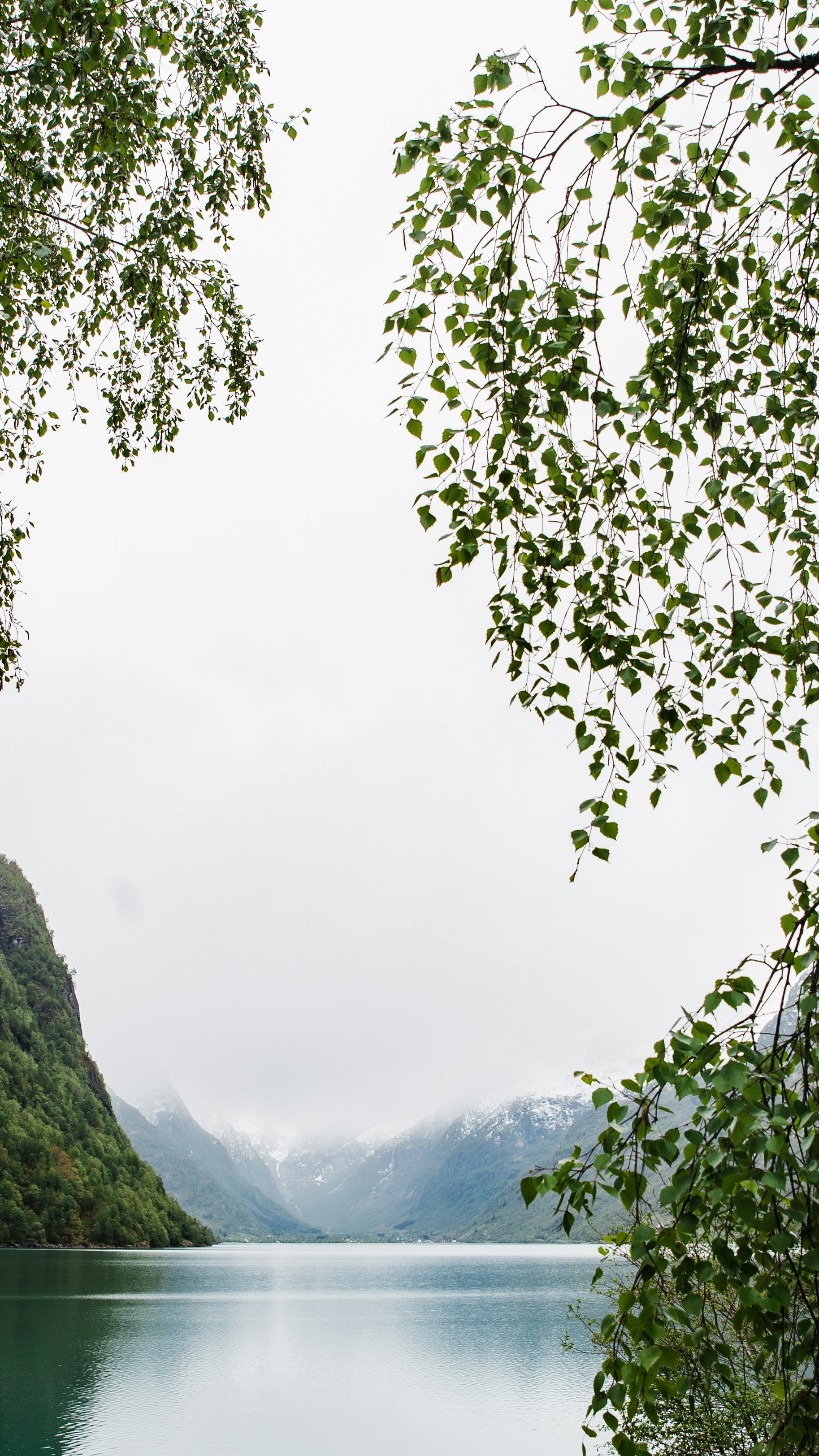 Landscapes