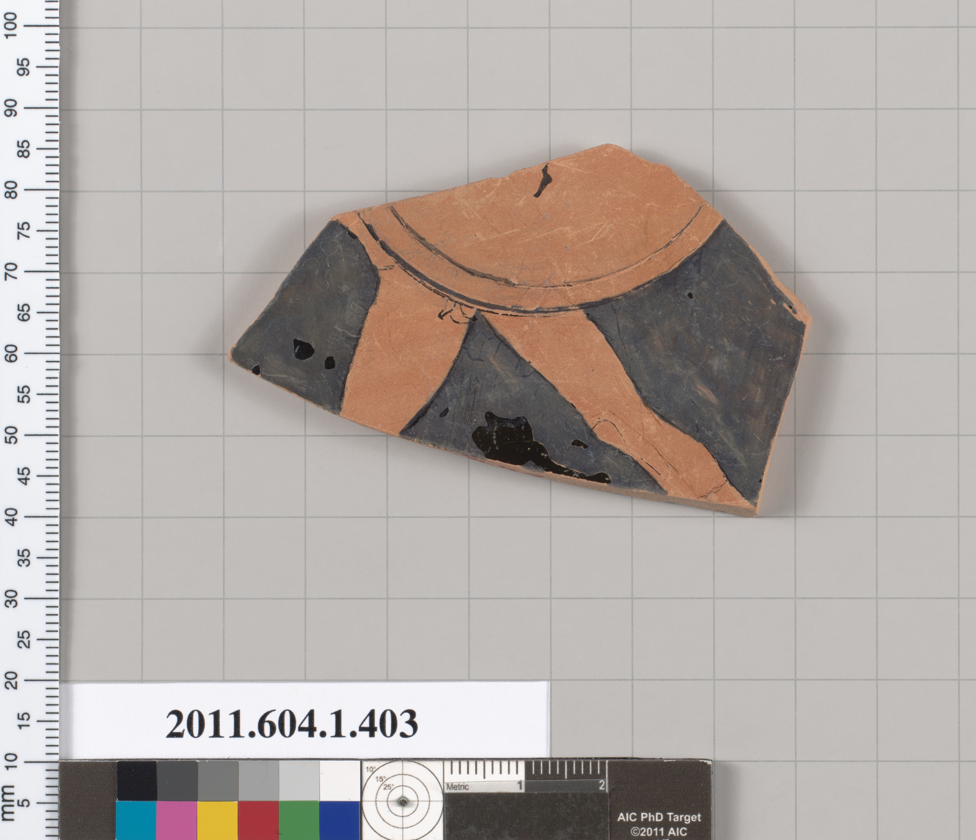 Ancient Terracotta Pottery Fragment