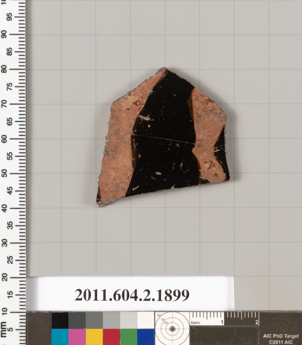 Ancient Pottery Shard Specimen