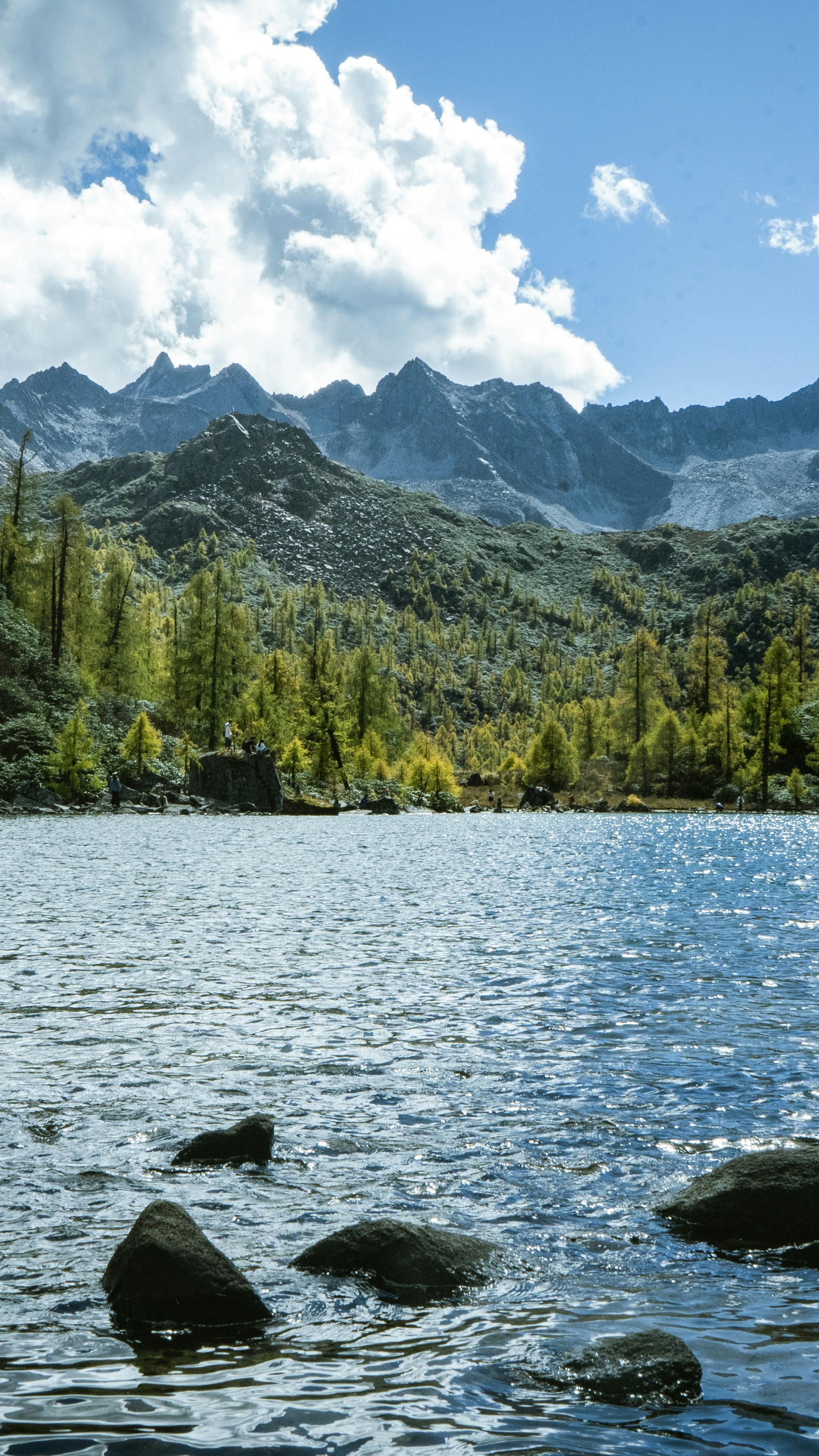 Landscapes