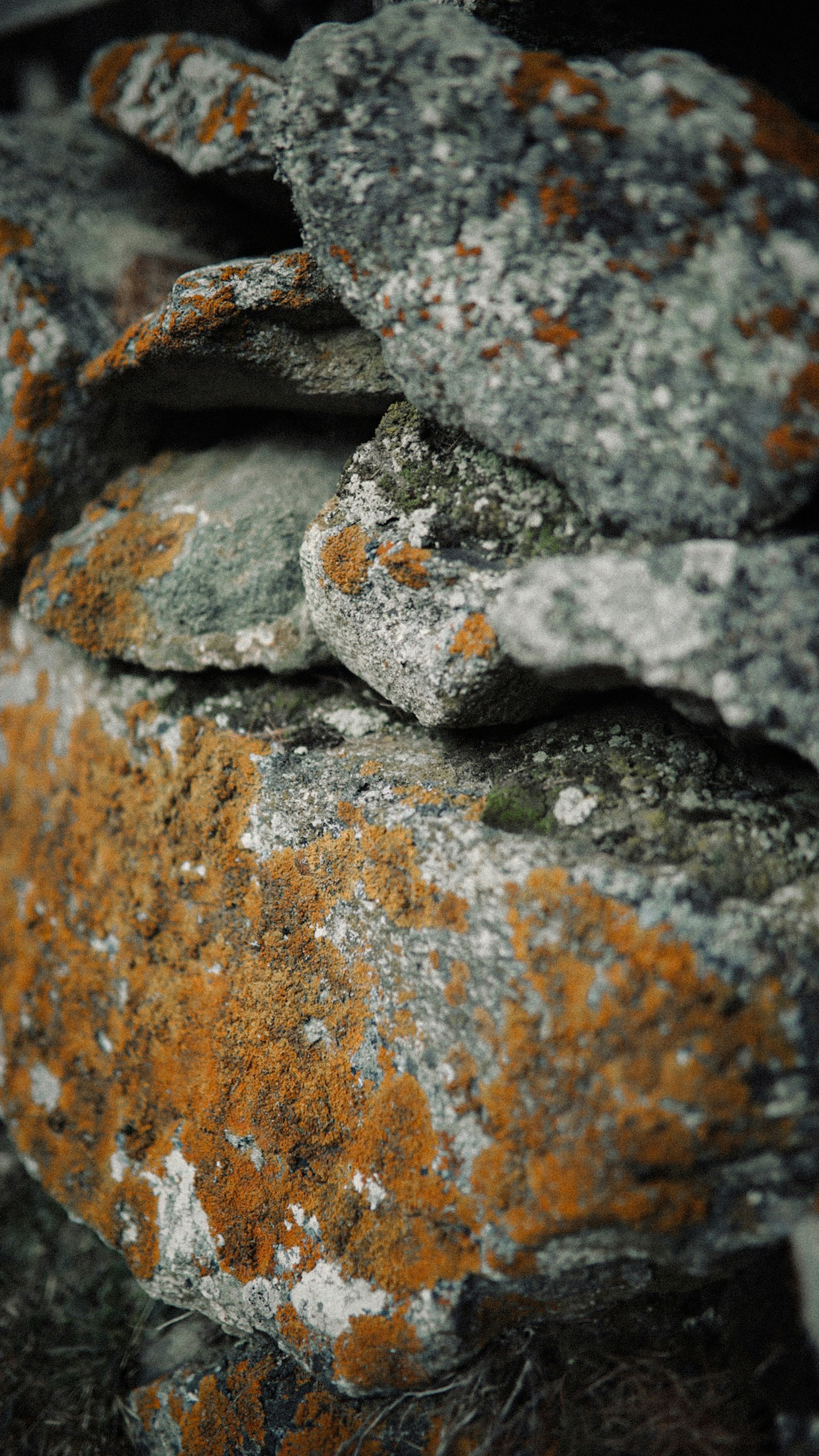 Lichen Covered Stacked Stones