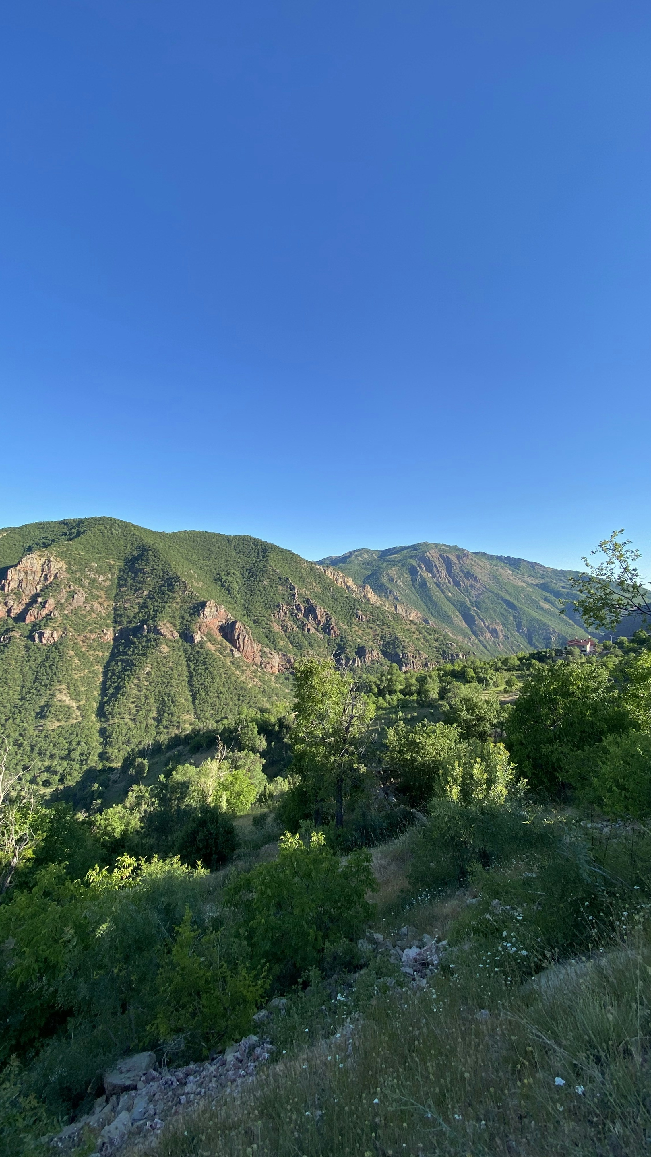 Green Mountain Valley Landscape