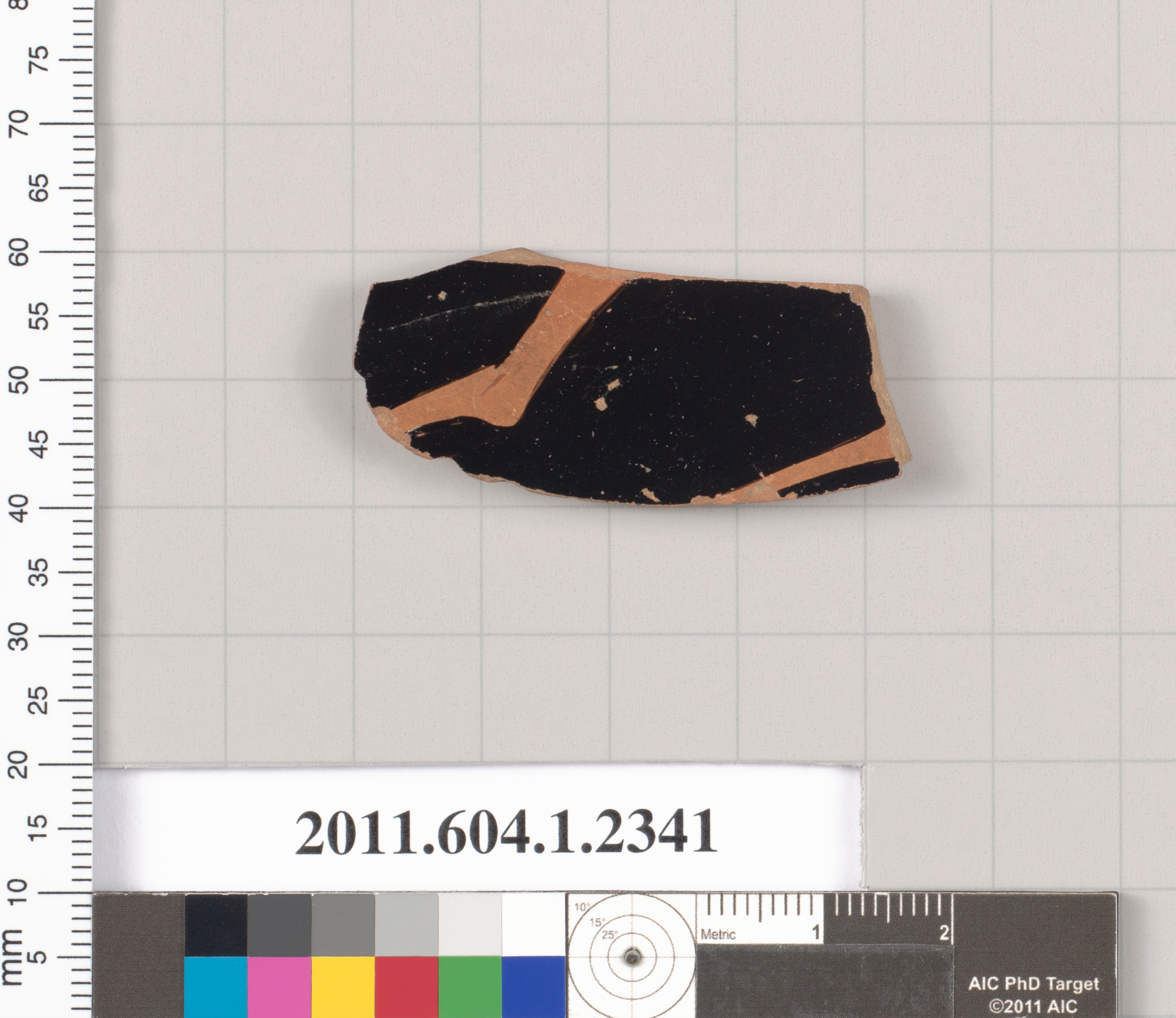 Ancient Pottery Shard Specimen