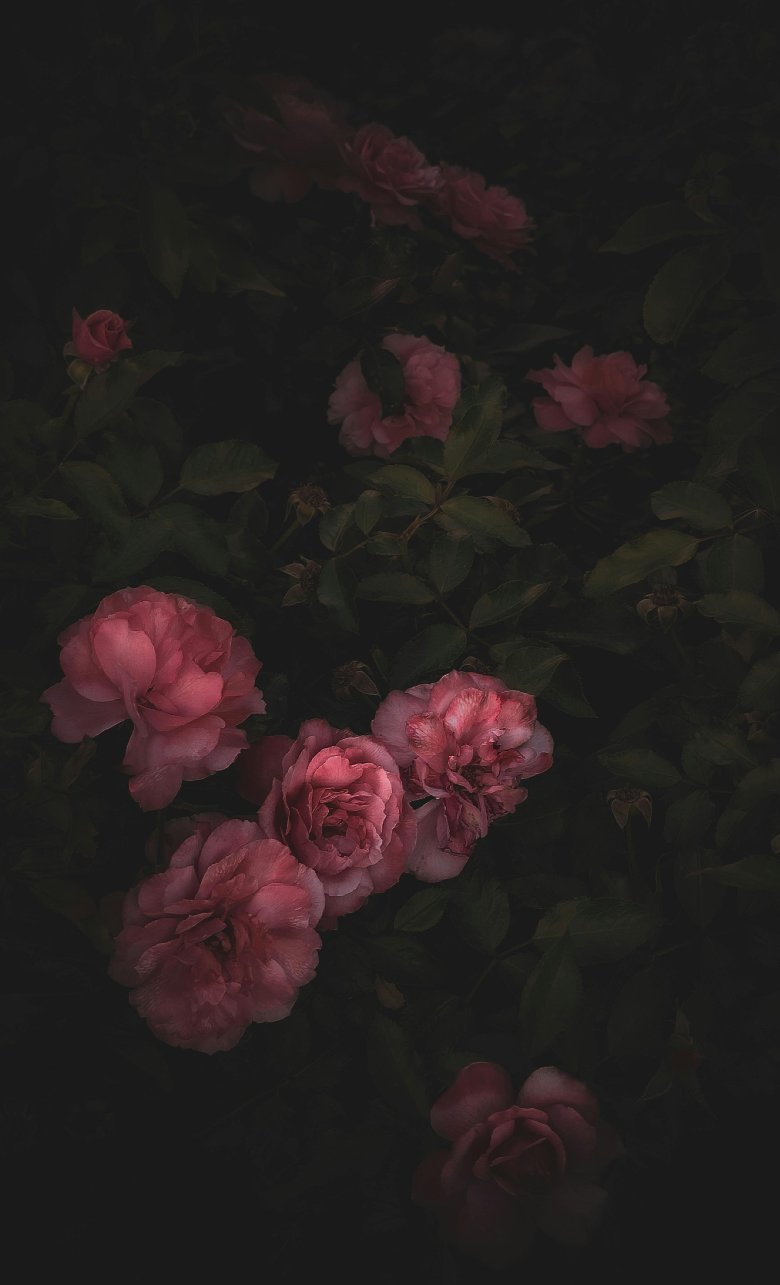 Wallpapers