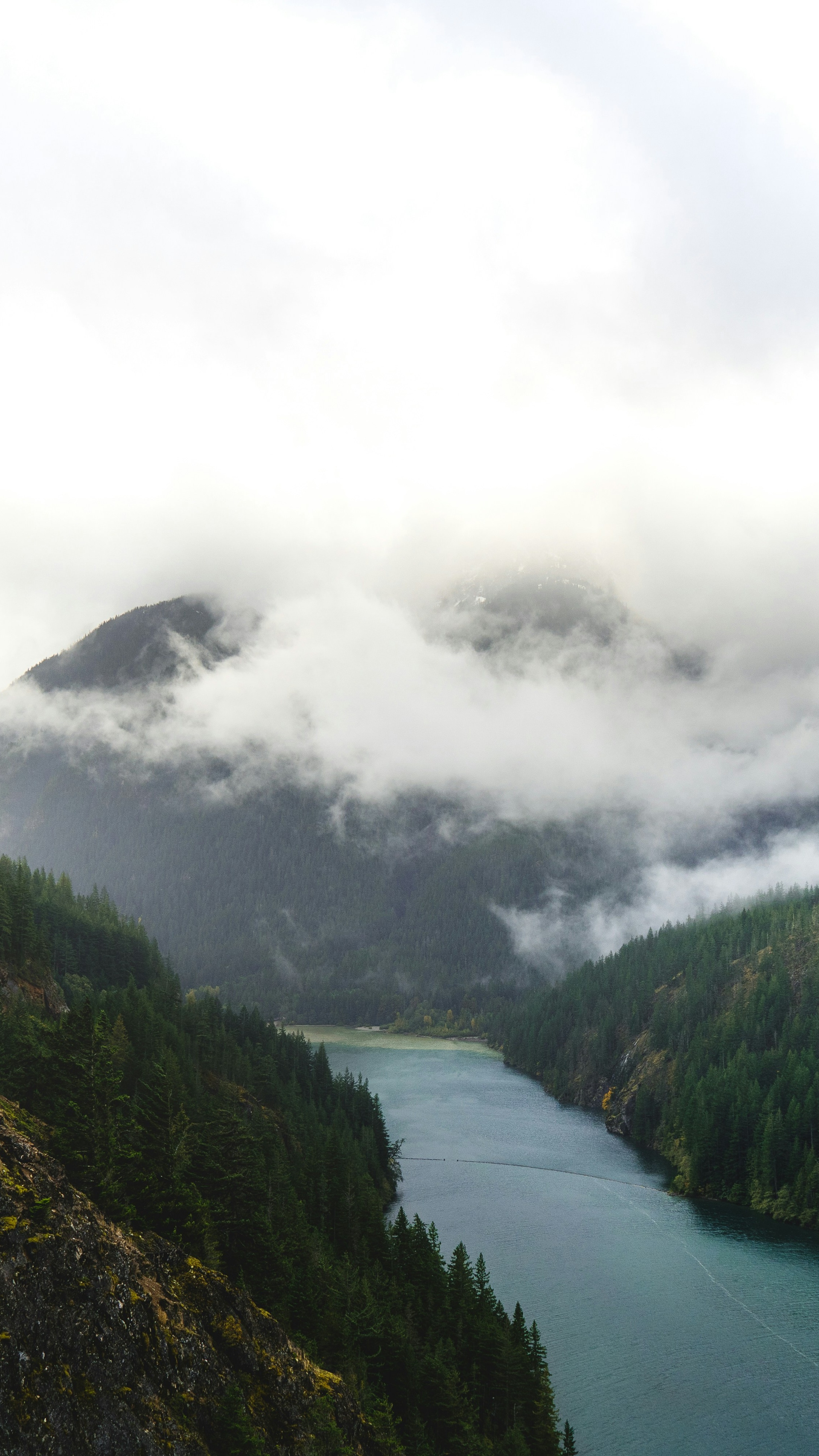 Landscapes