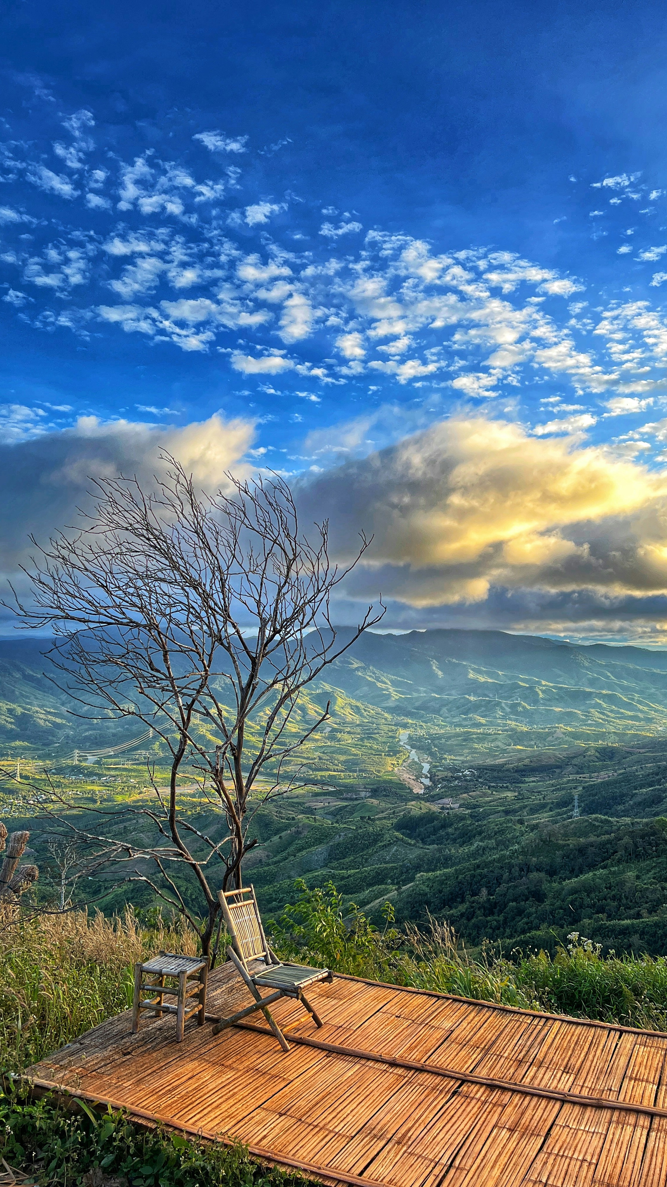 Landscapes