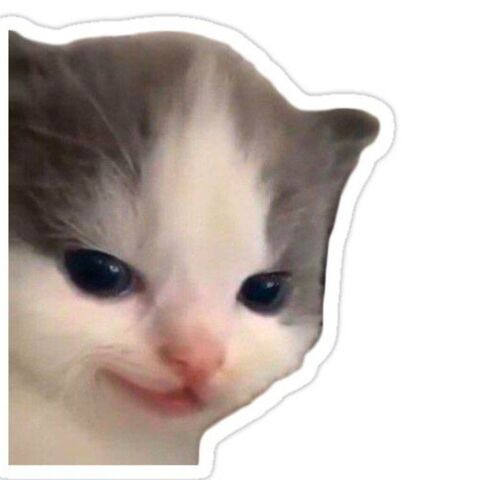 Smiling Kitten Sticker