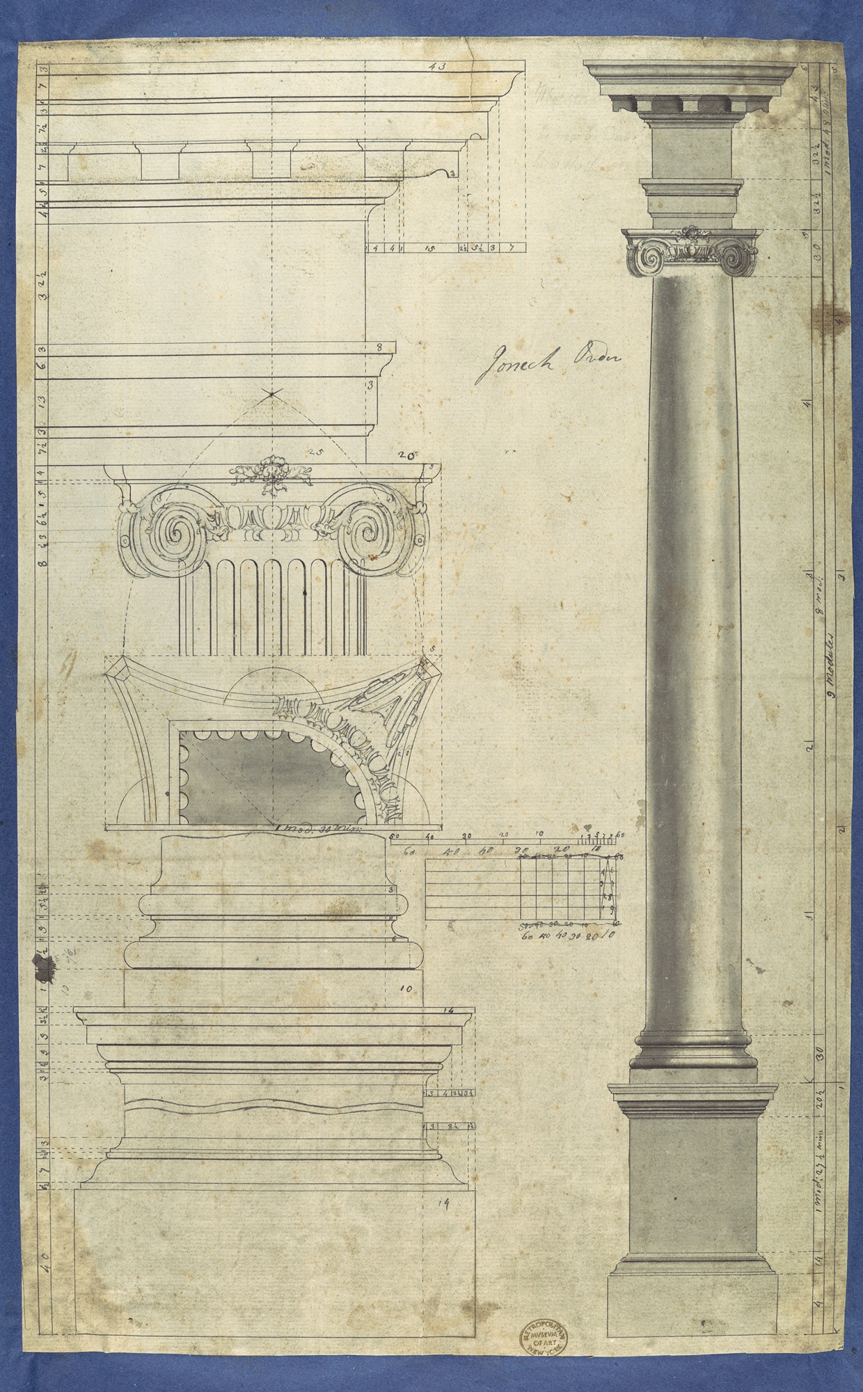 Ionic Order Column Architectural Drawing