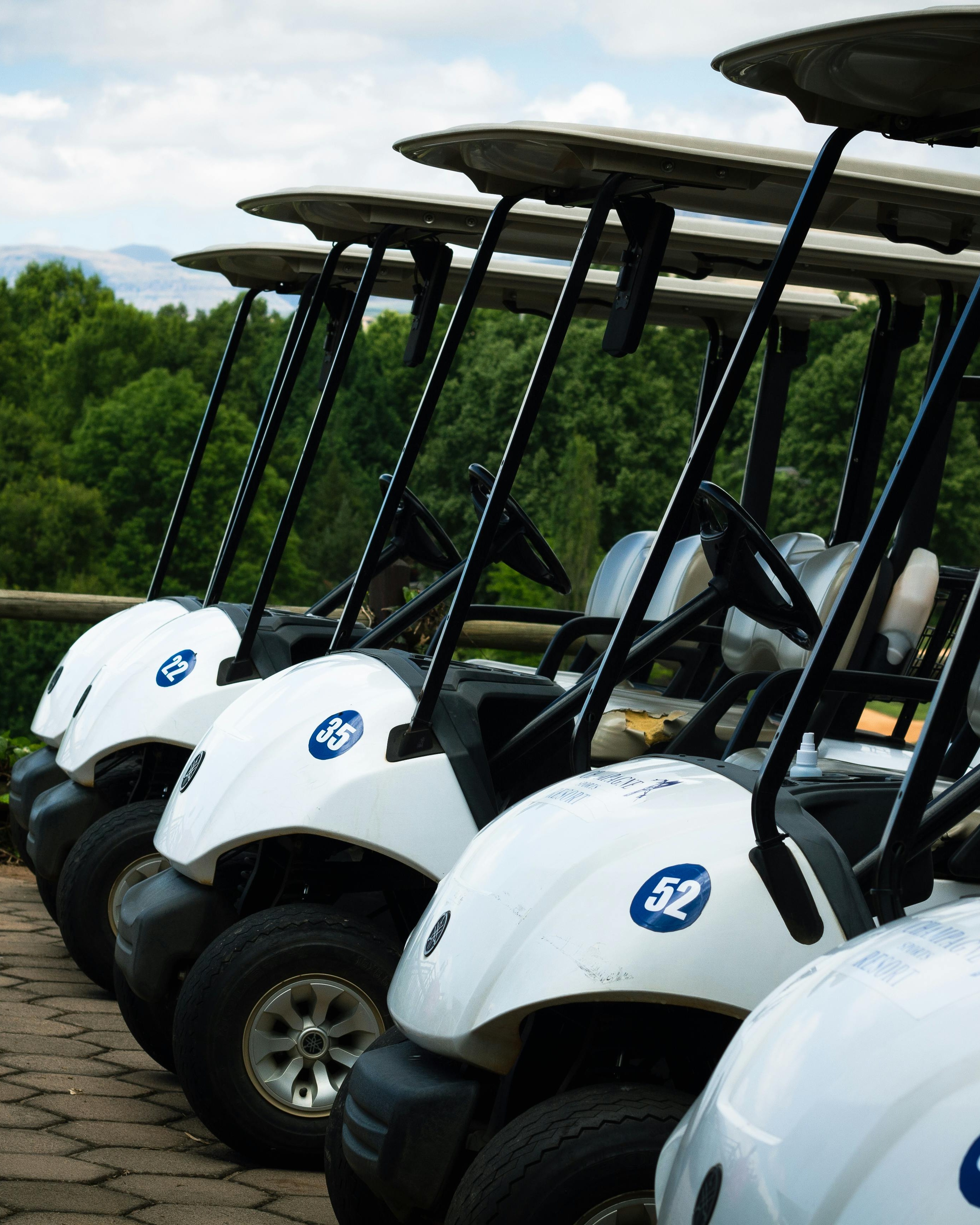 Row of Parked Golf Carts