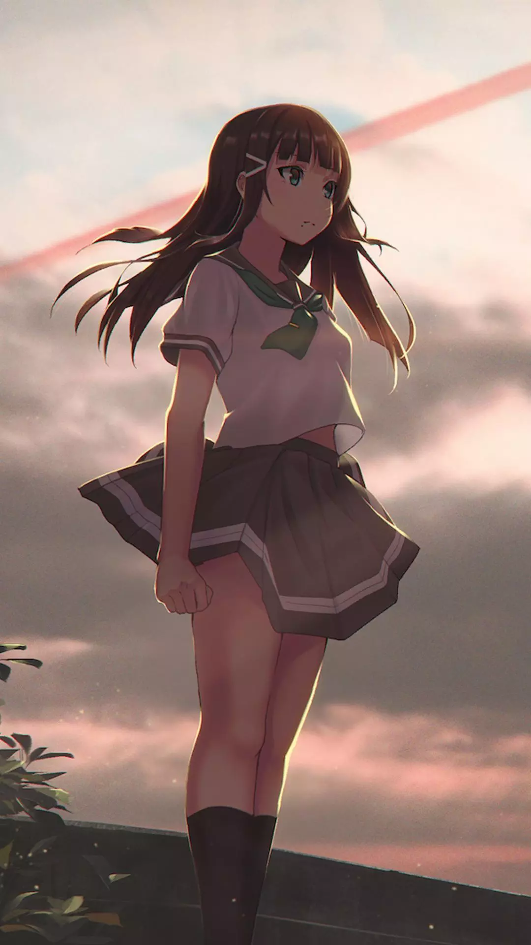 Wallpapers