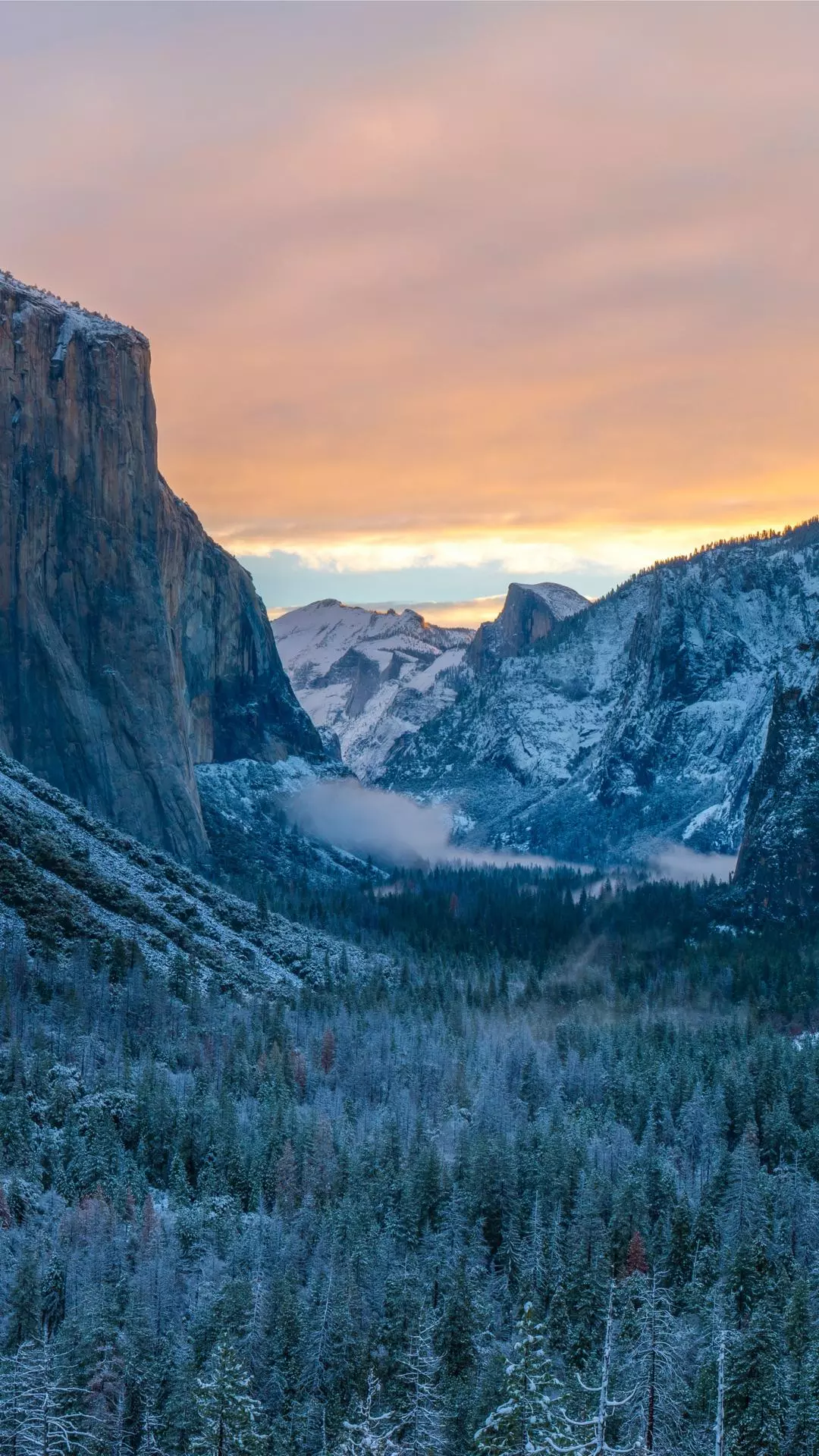 Landscapes