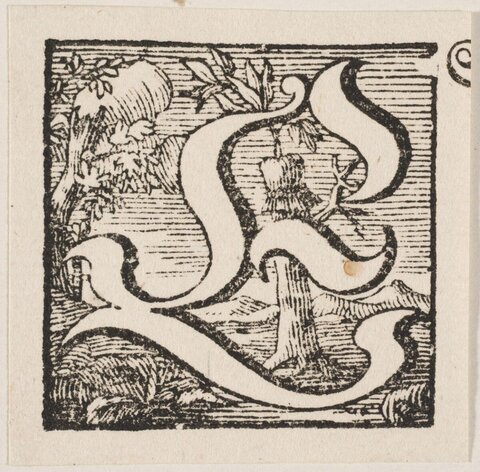 Decorative Letter S Woodcut