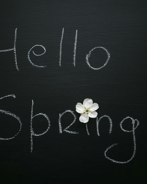 Hello Spring on Black Chalkboard