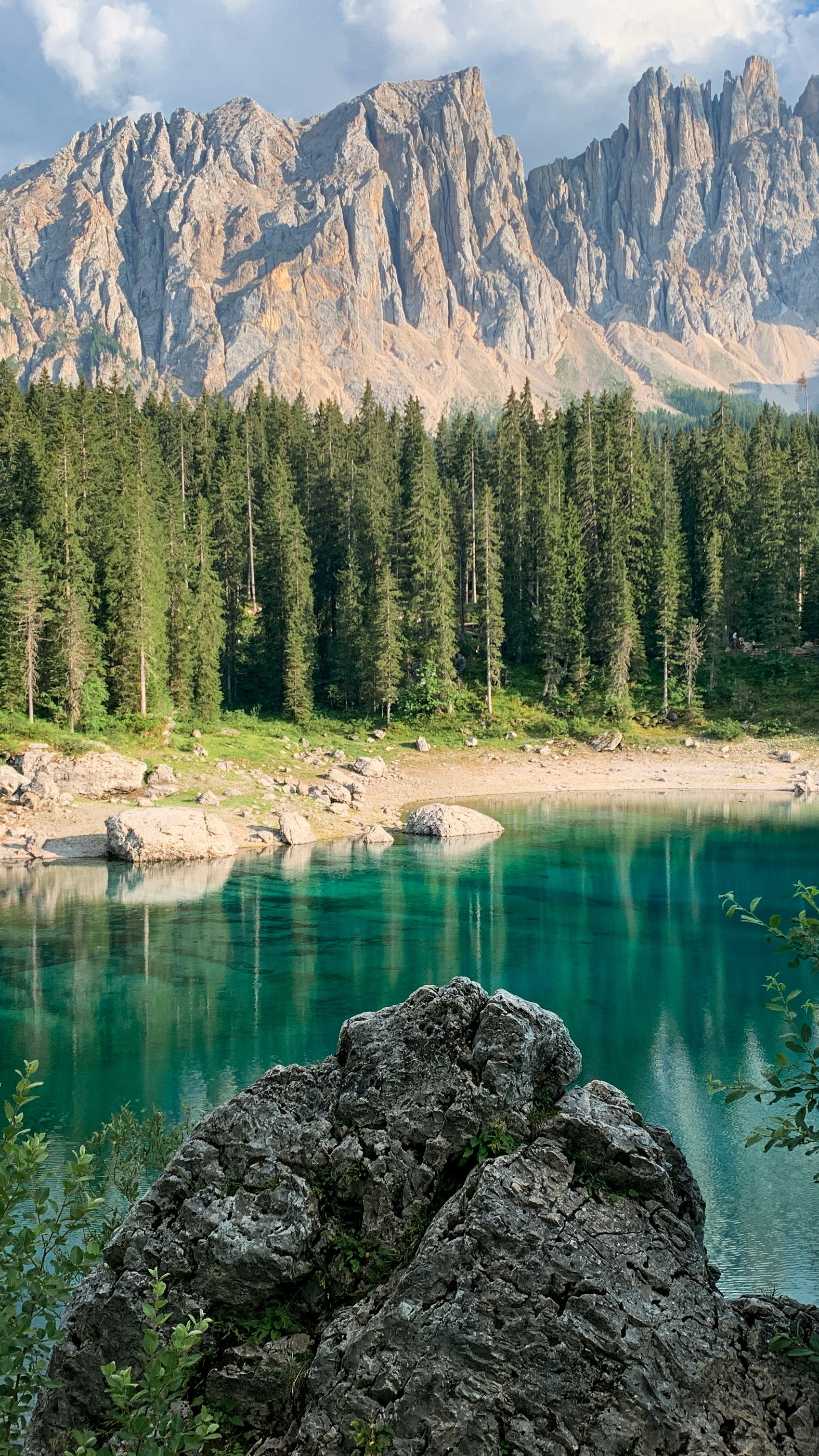 Wallpapers