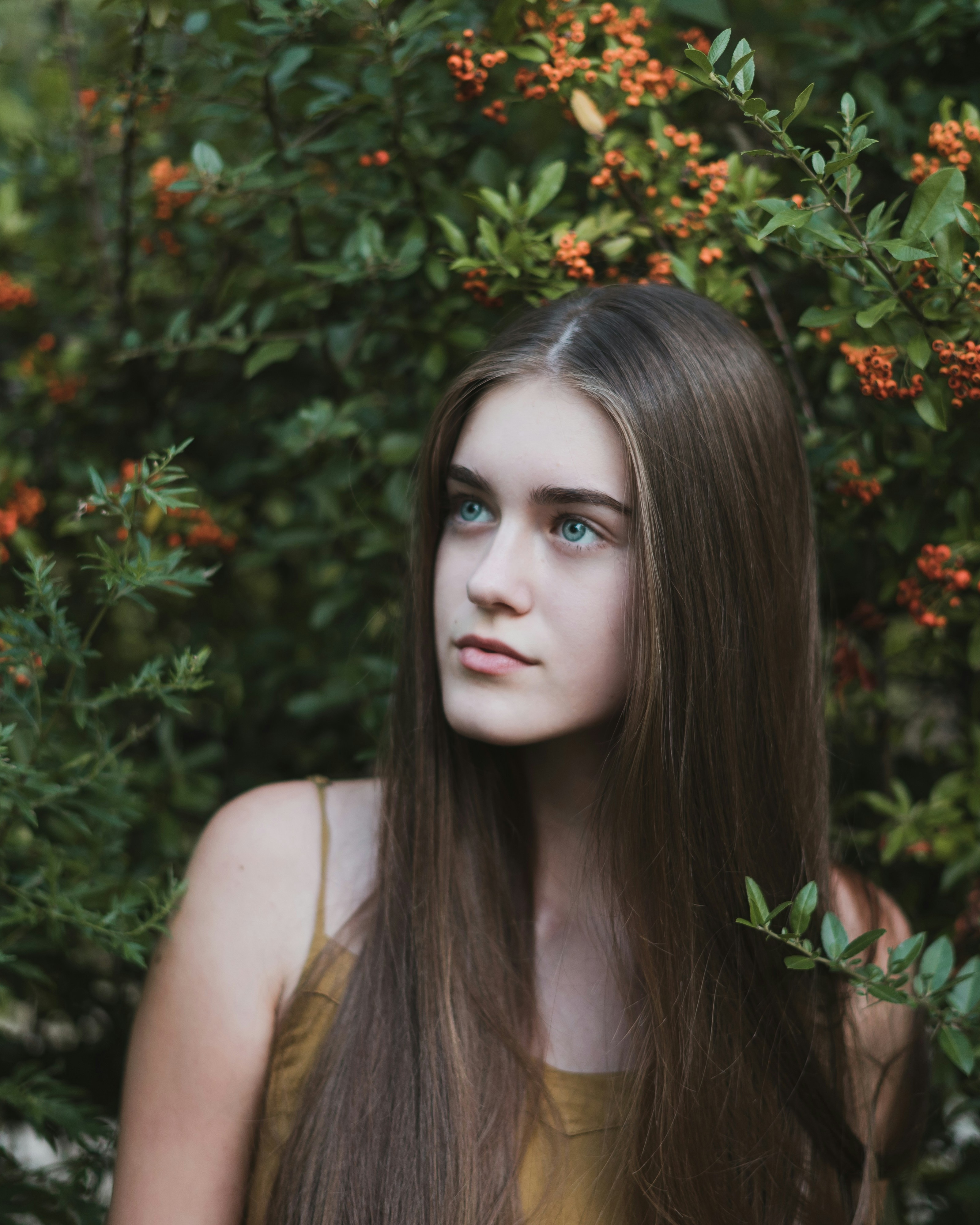 Forest & Flora