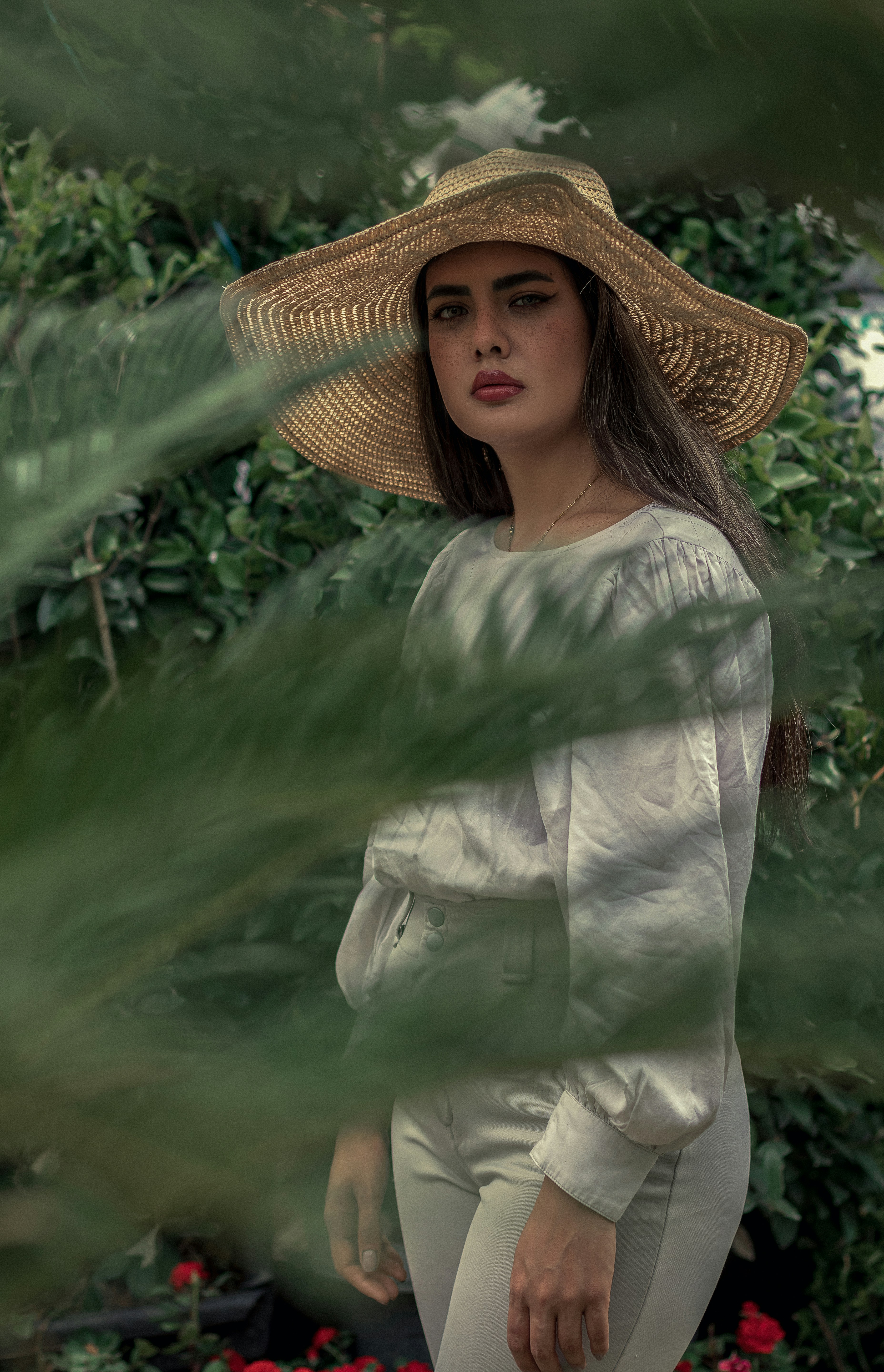 Forest & Flora