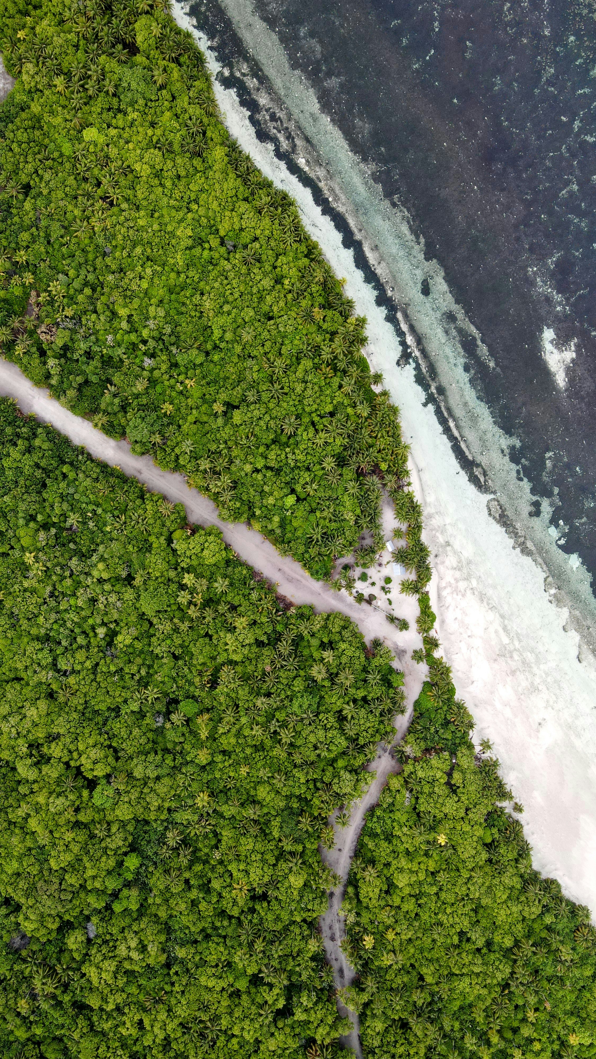 Aerial View of Tropical Island Coast
